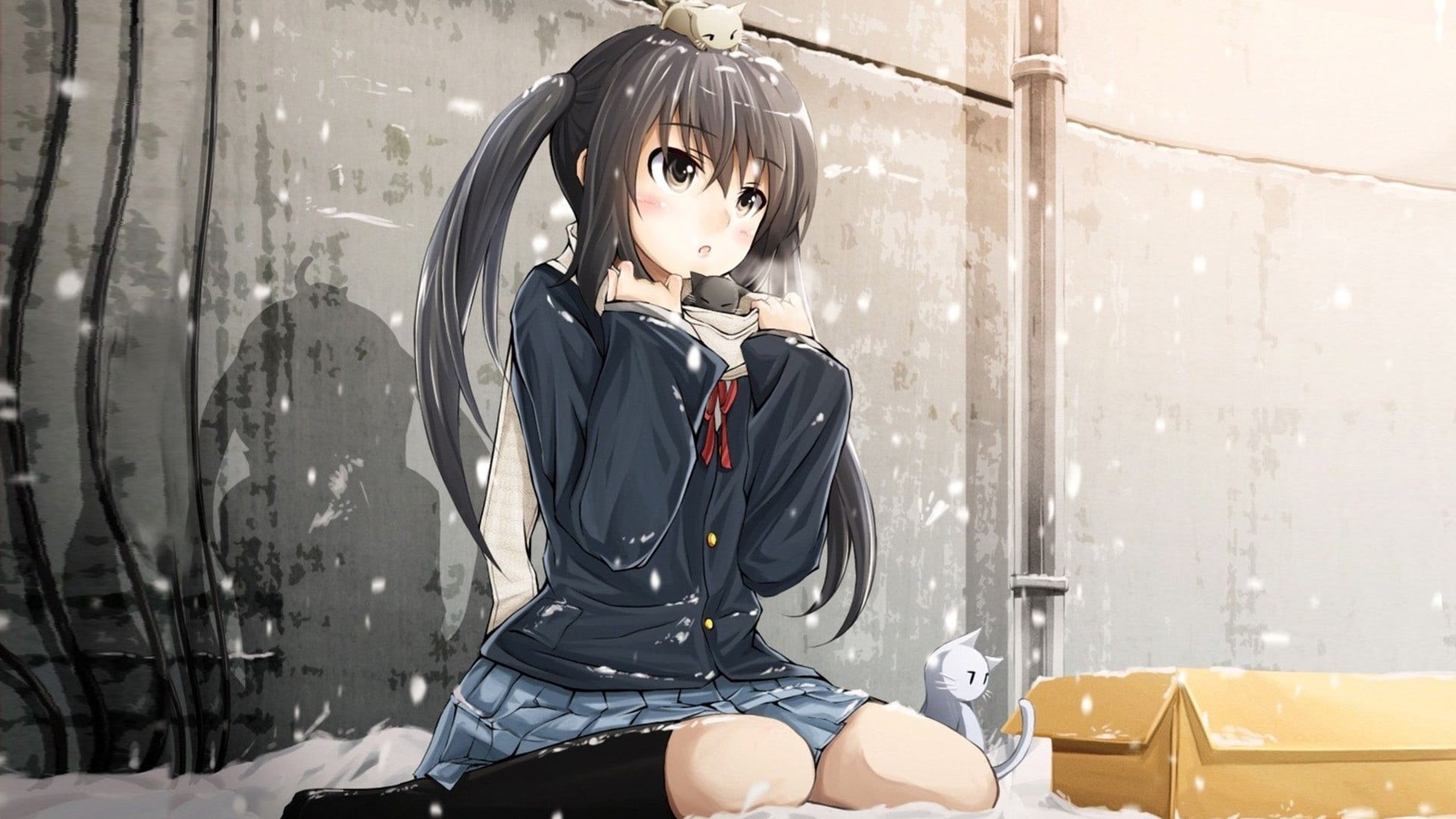 schoolgirl, anime girls, cat, sitting, young women, girl, wall - building feature, character, beautiful woman, anime, front view, kittens, females, school uniform, HD Wallpaper