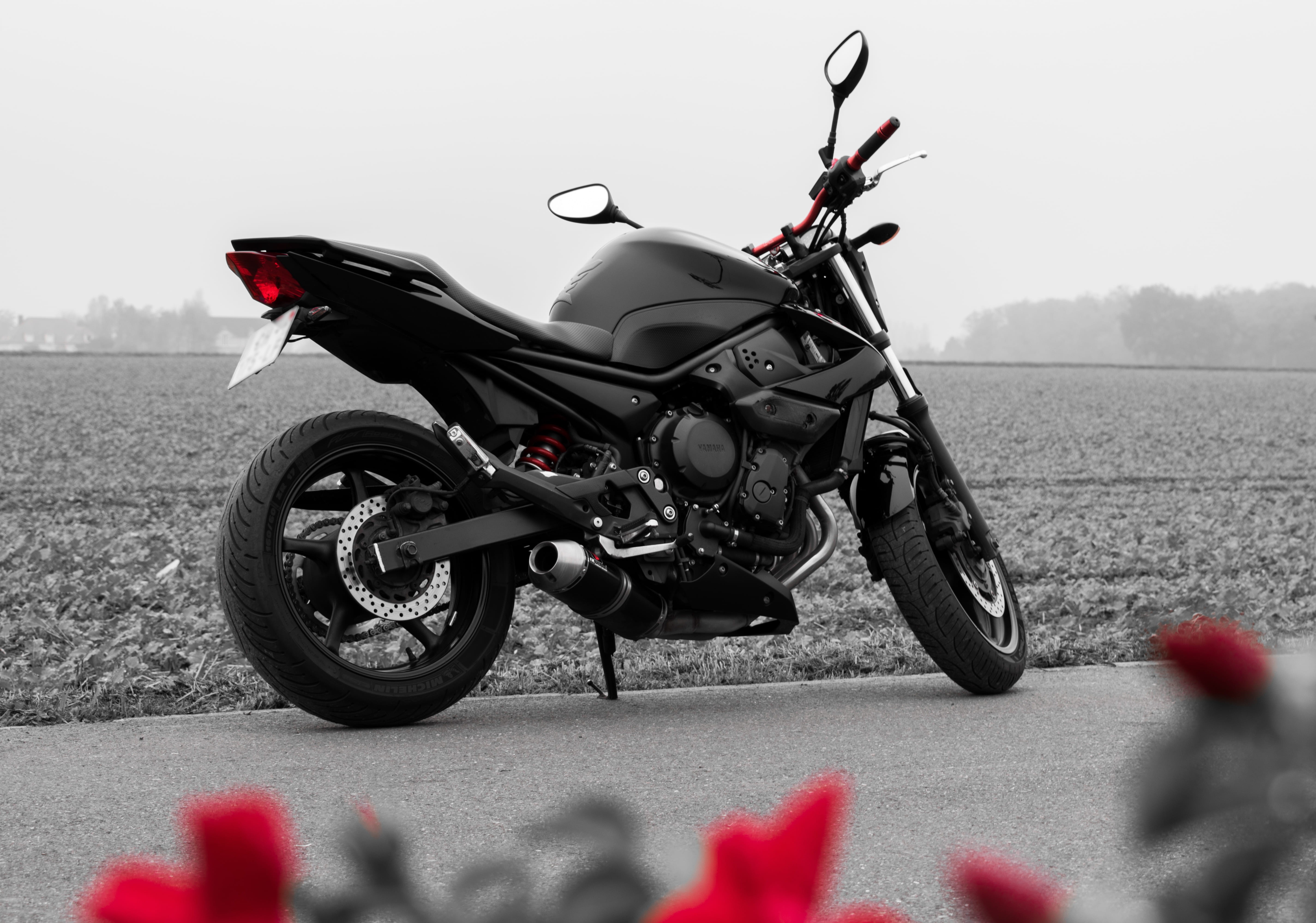 black, outdoors, road, flower, street, motor scooter, flowering plant, no people, day, transportation, 5K, nature, moto, mode of transportation, stationary, HD Wallpaper