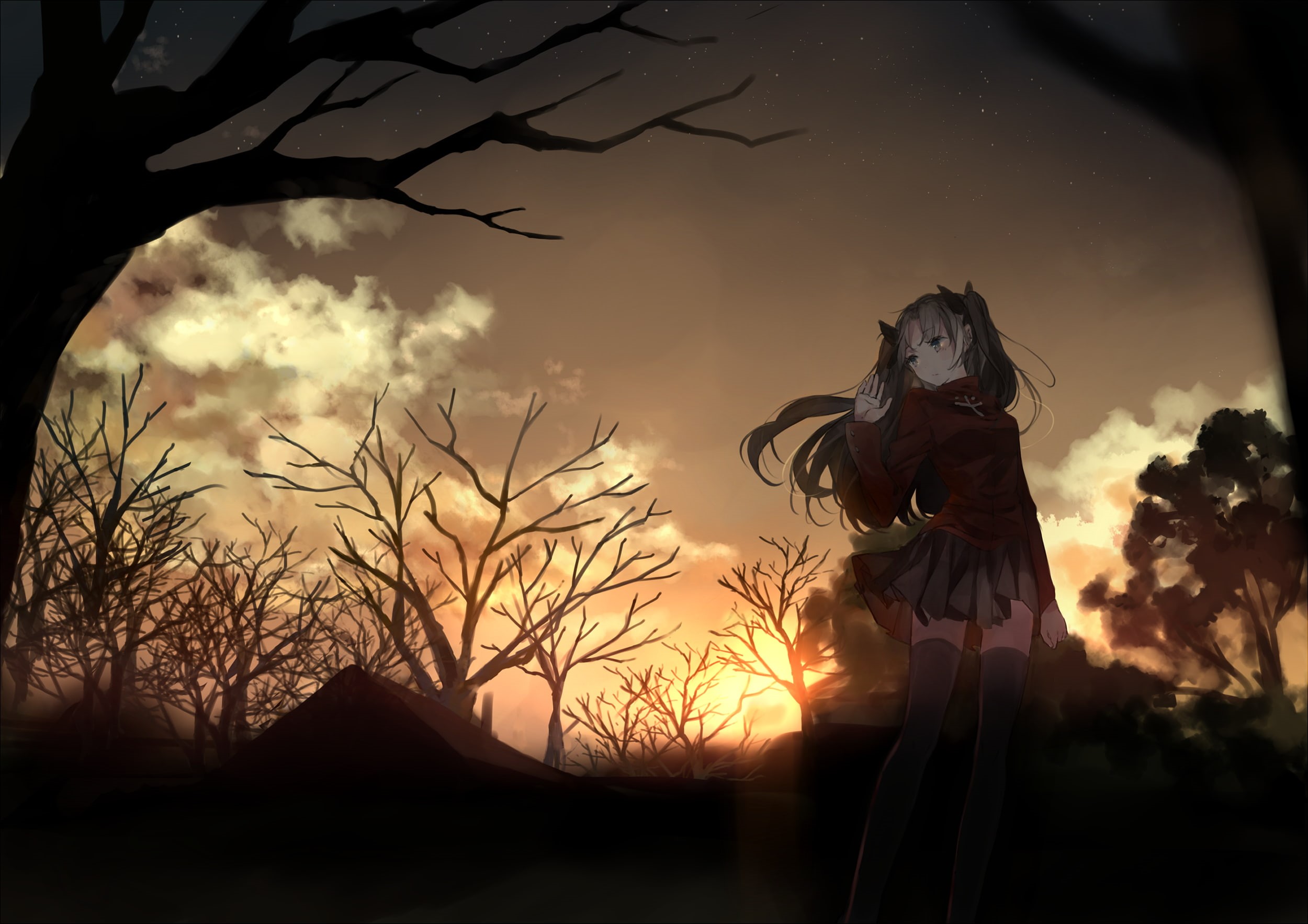 plant, sunlight, Tohsaka Rin, art and craft, tree, silhouette, Fate Series, bare tree, sunset, adult, sky, representation, one person, nature, women, anime, HD Wallpaper