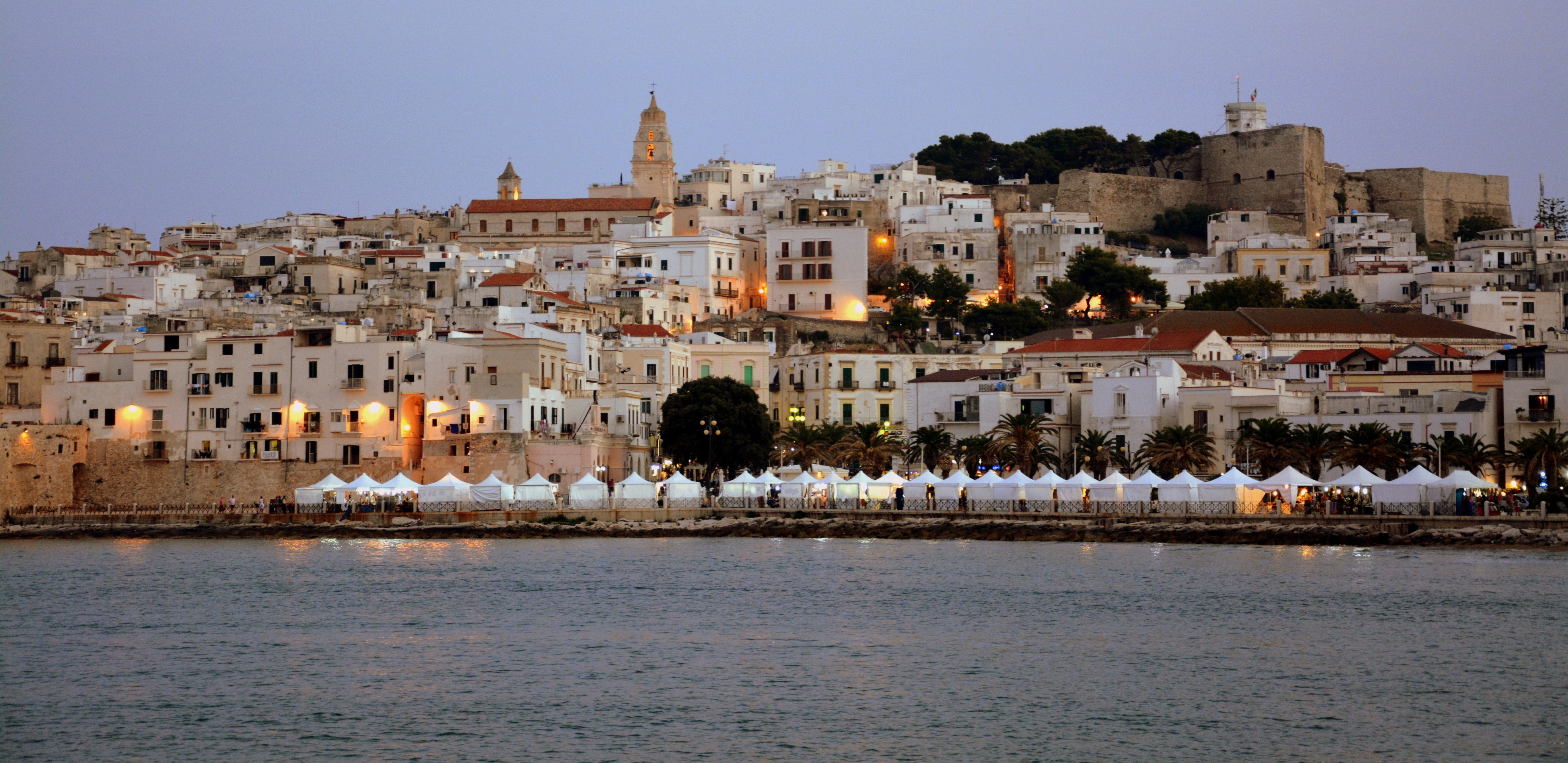 vieste, travel destinations, travel, tree, houses, waterfront, lighting, landscape, nautical vessel, tourism, italy, promontory, town, water, sky, river, HD Wallpaper