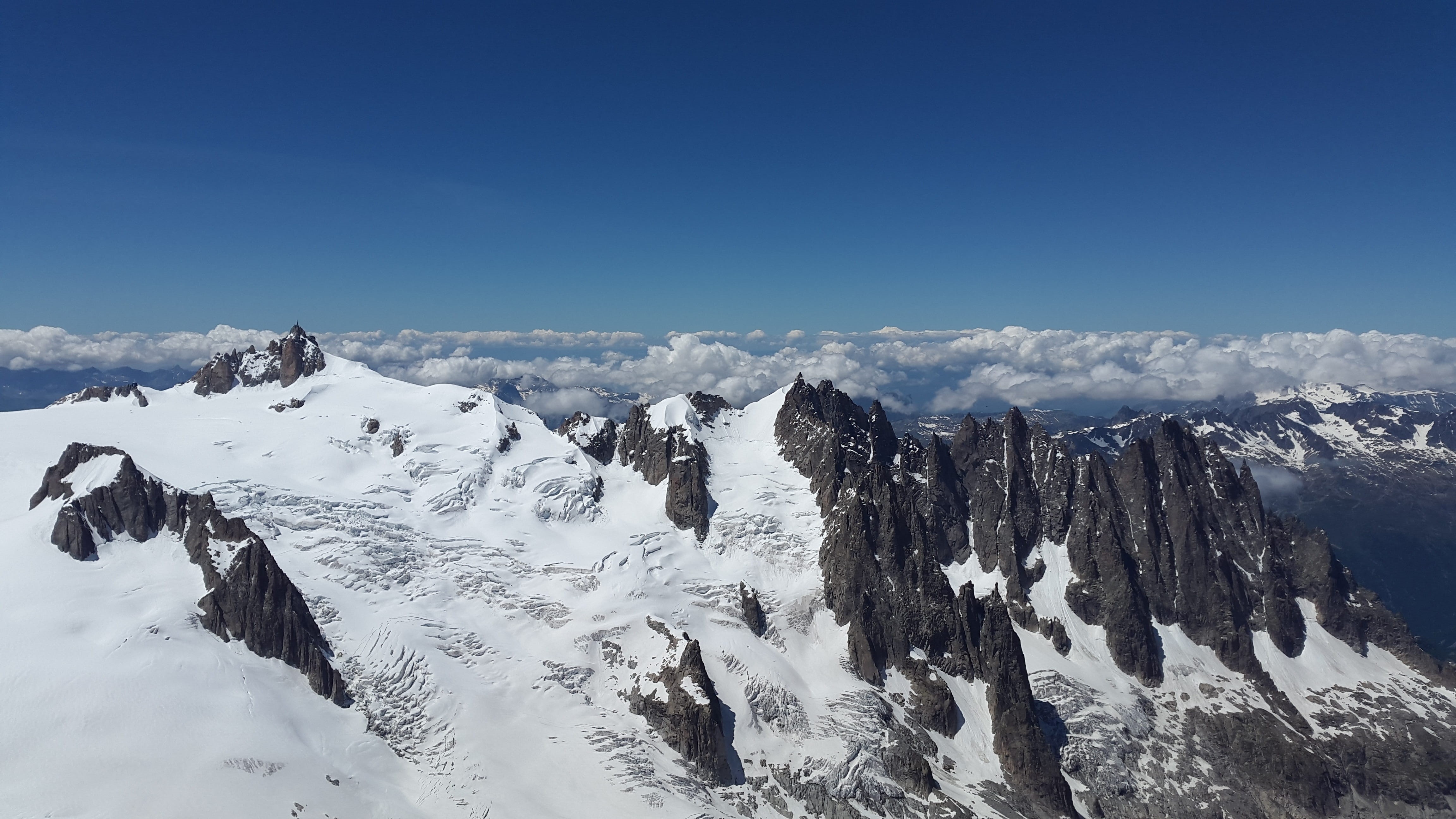 panoramic, coniferous tree, chamonix, you aiguille plan, pine tree, cold temperature, cold - Temperature, landscape, snowcapped mountain, no People, white, HD Wallpaper