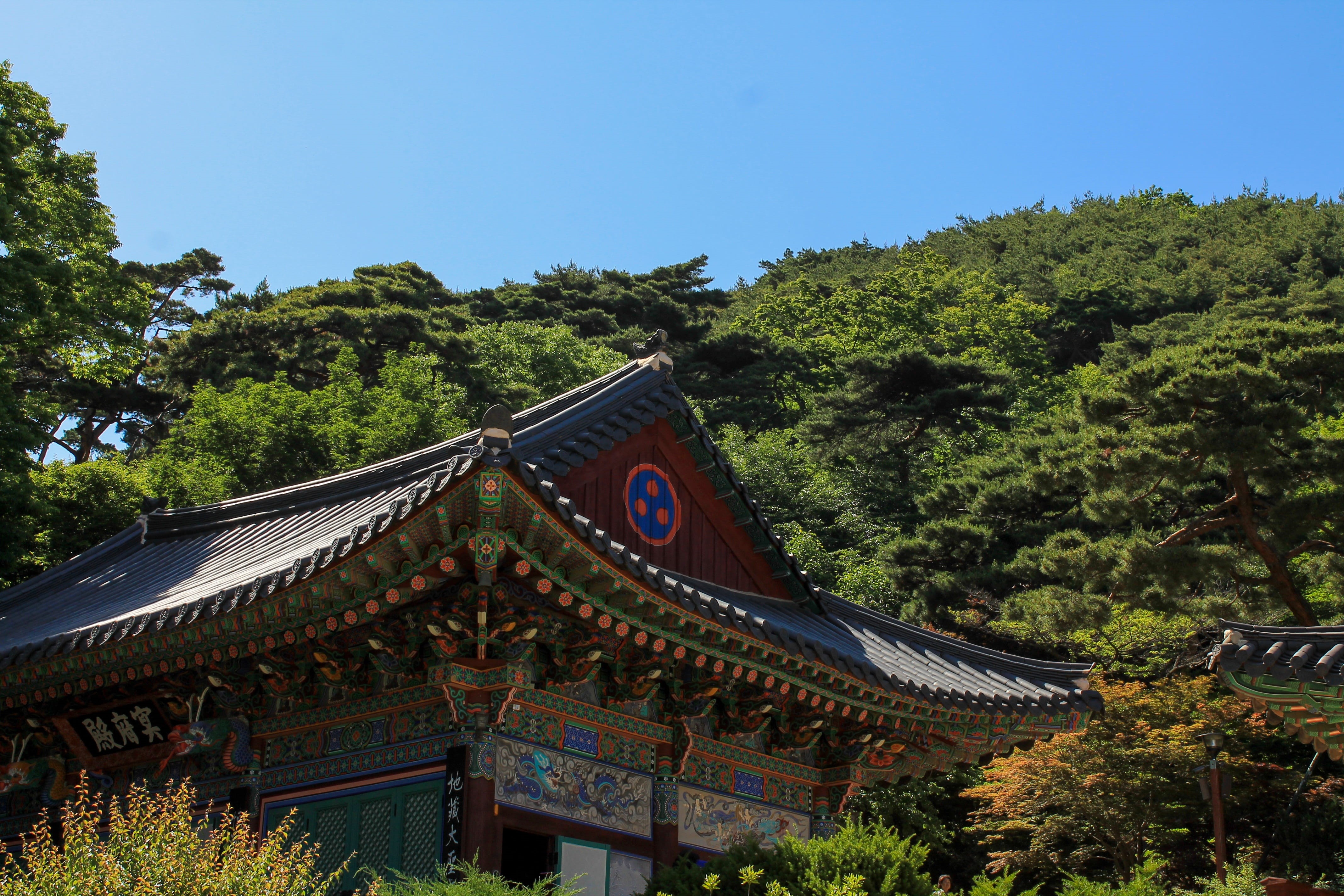 seoul, architecture, Korean, design, Wall, cultures, old, 4K, asia, heritage, home, outdoors, decoration, belief, construction, texture, place of worship, HD Wallpaper