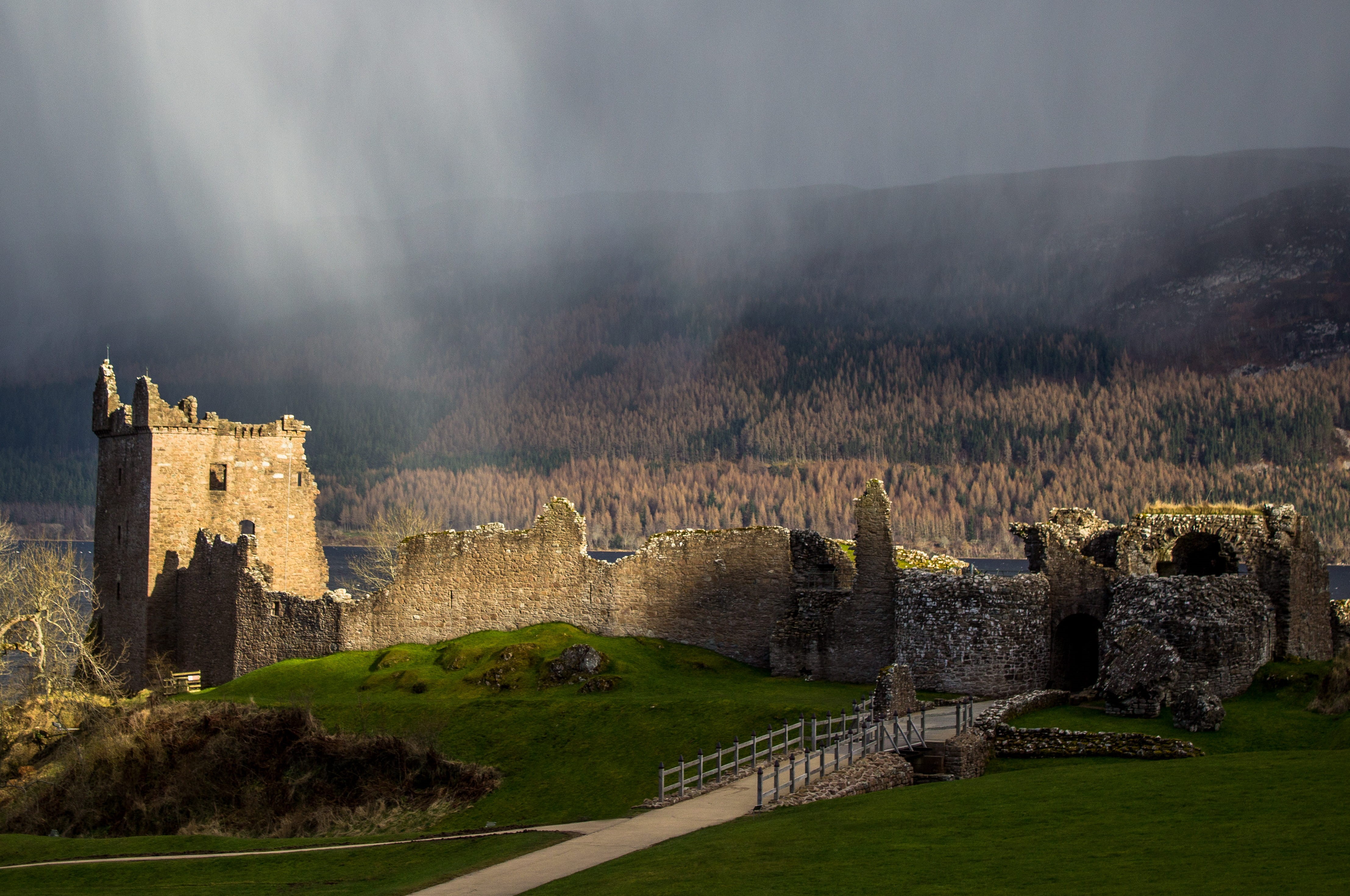 forest, outdoors, wall, the past, green, old ruin, stone Material, near, stone wall, architecture, cemetery, landscape, stone, Urquhart Castle, ancient, HD Wallpaper
