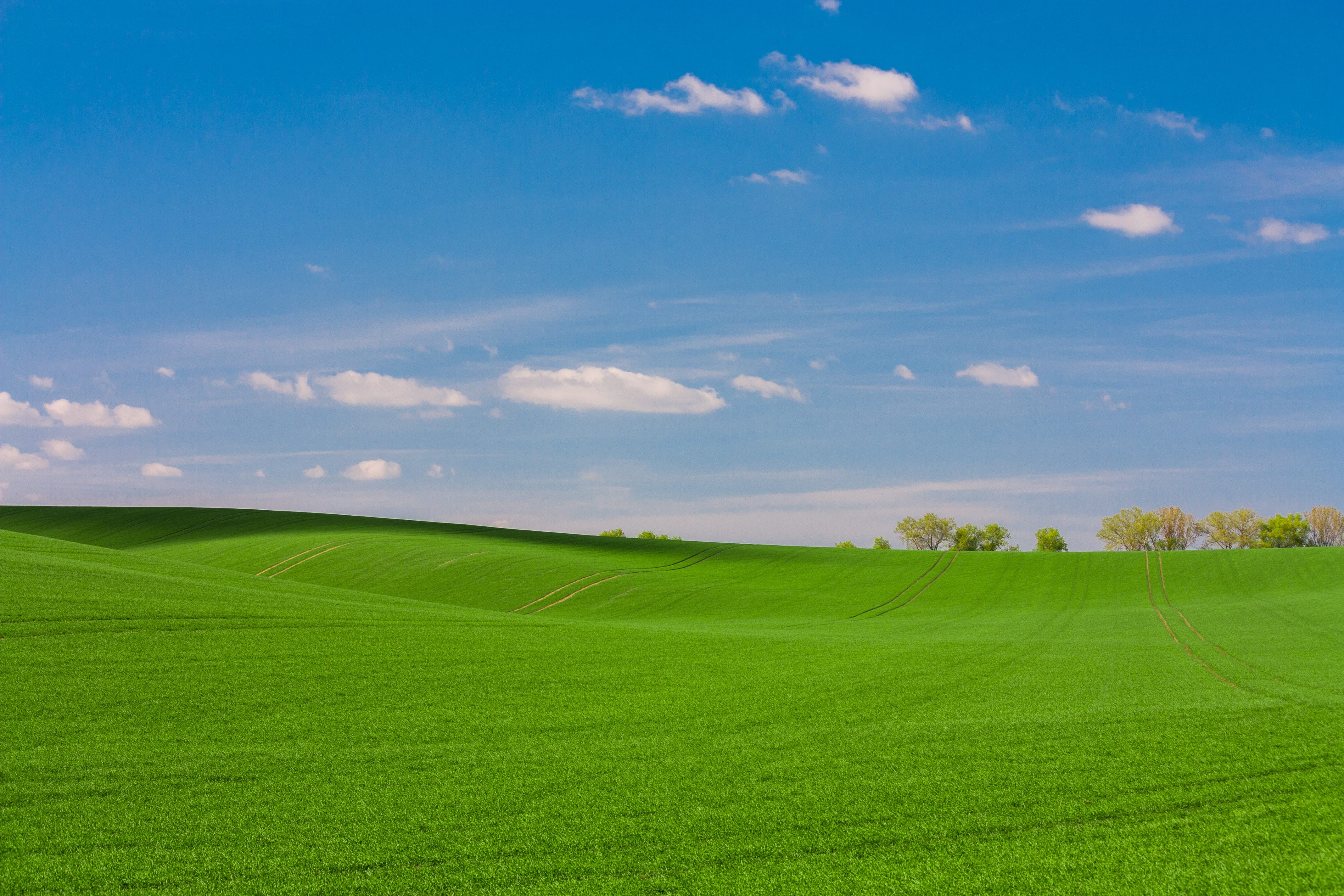 meadow, fiels, horizon Over Land, daytime, idyllic, plant, cloudscape, hill, outdoors, cloud, no People, windows, cloud - Sky, green field, green, environment, HD Wallpaper