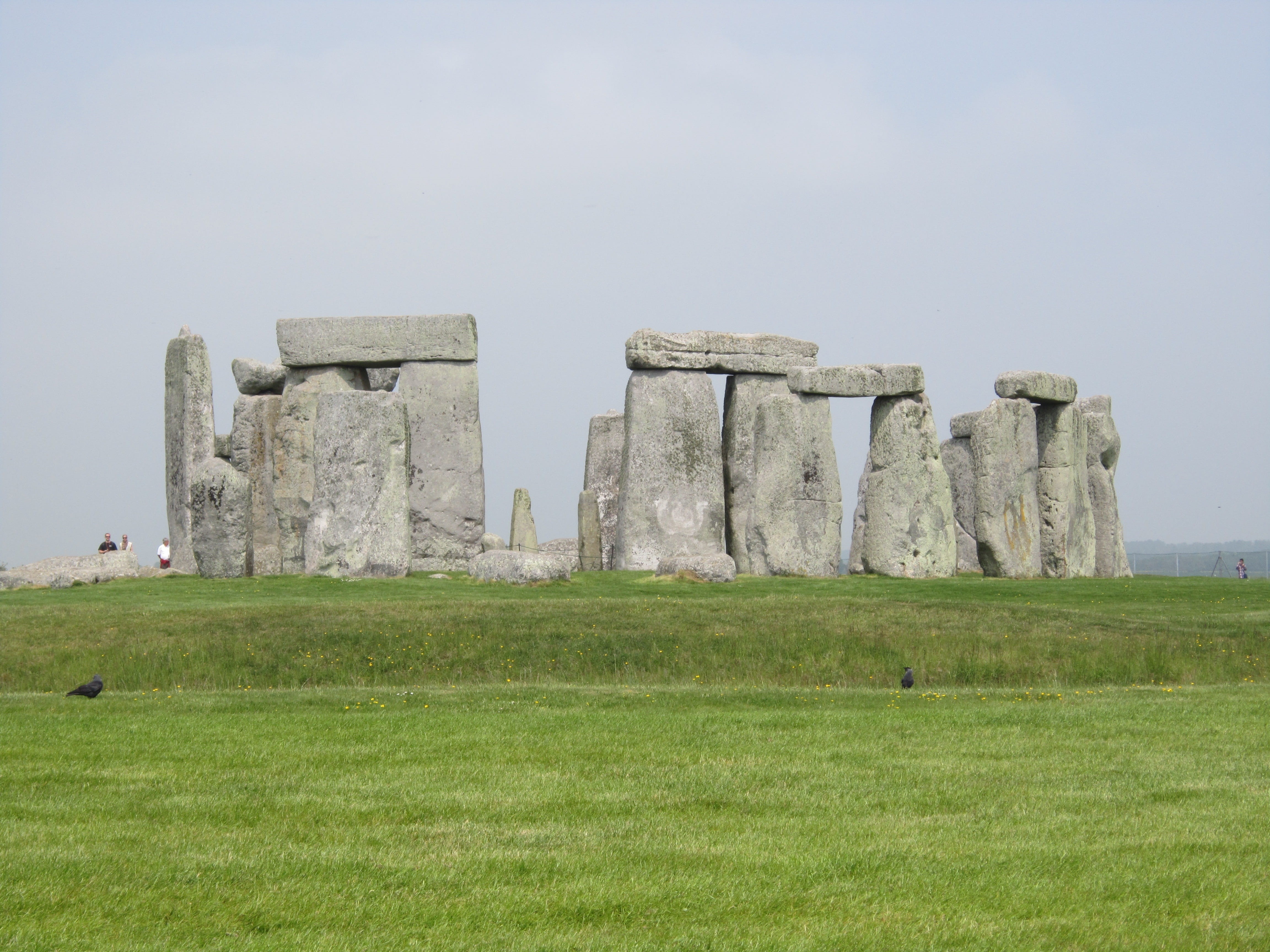 ancient civilization, old Ruin, England, prehistoric Era, plant, Uk, monument, megalith, day, salisbury - England, history, 4K, landscape, stone Material, HD Wallpaper