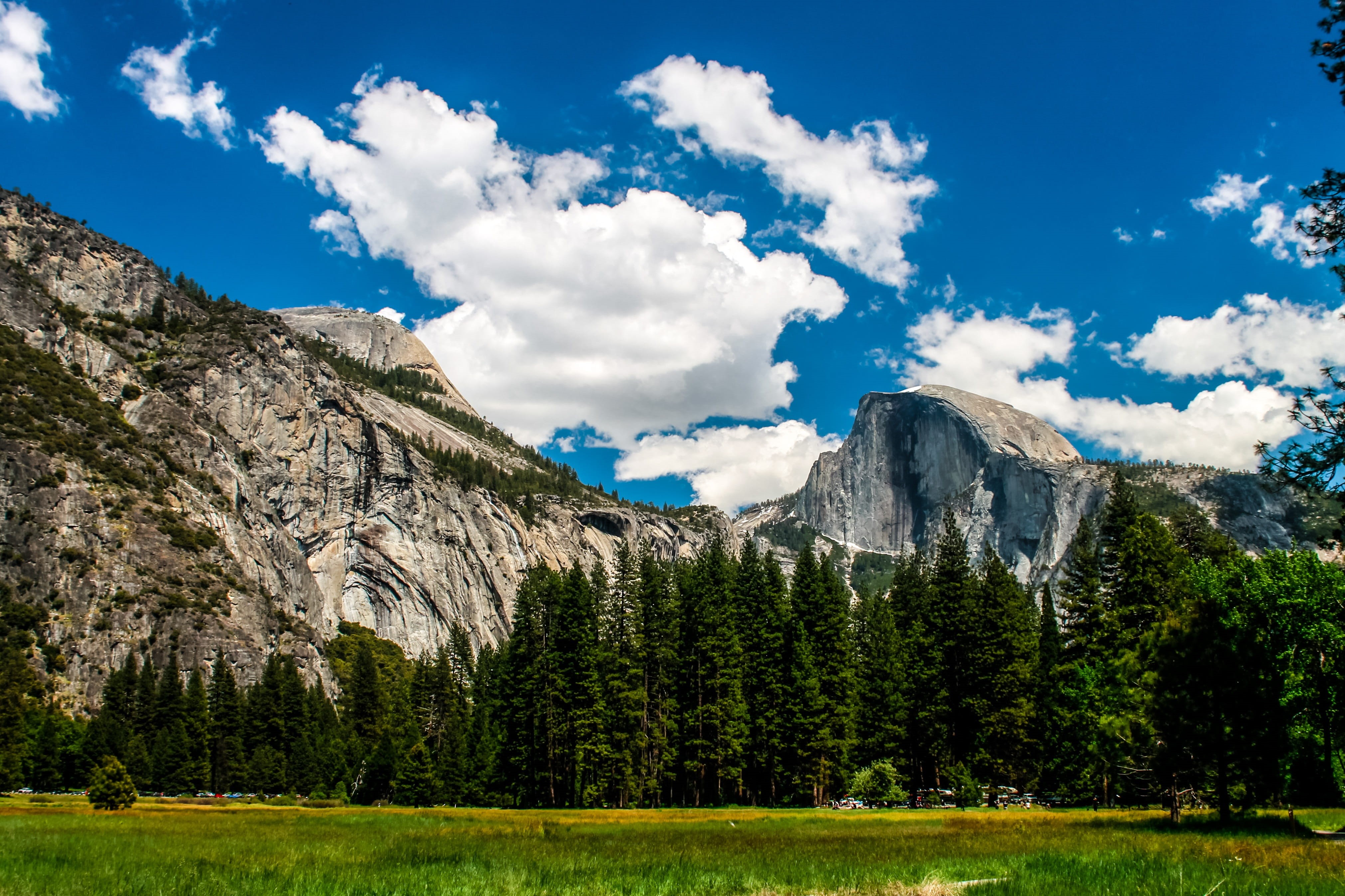 non-urban scene, idyllic, tree, states, beauty In Nature, park, rock, landscape, Yosemite, forest, environment, united, sky, summer, landmark, granite, HD Wallpaper
