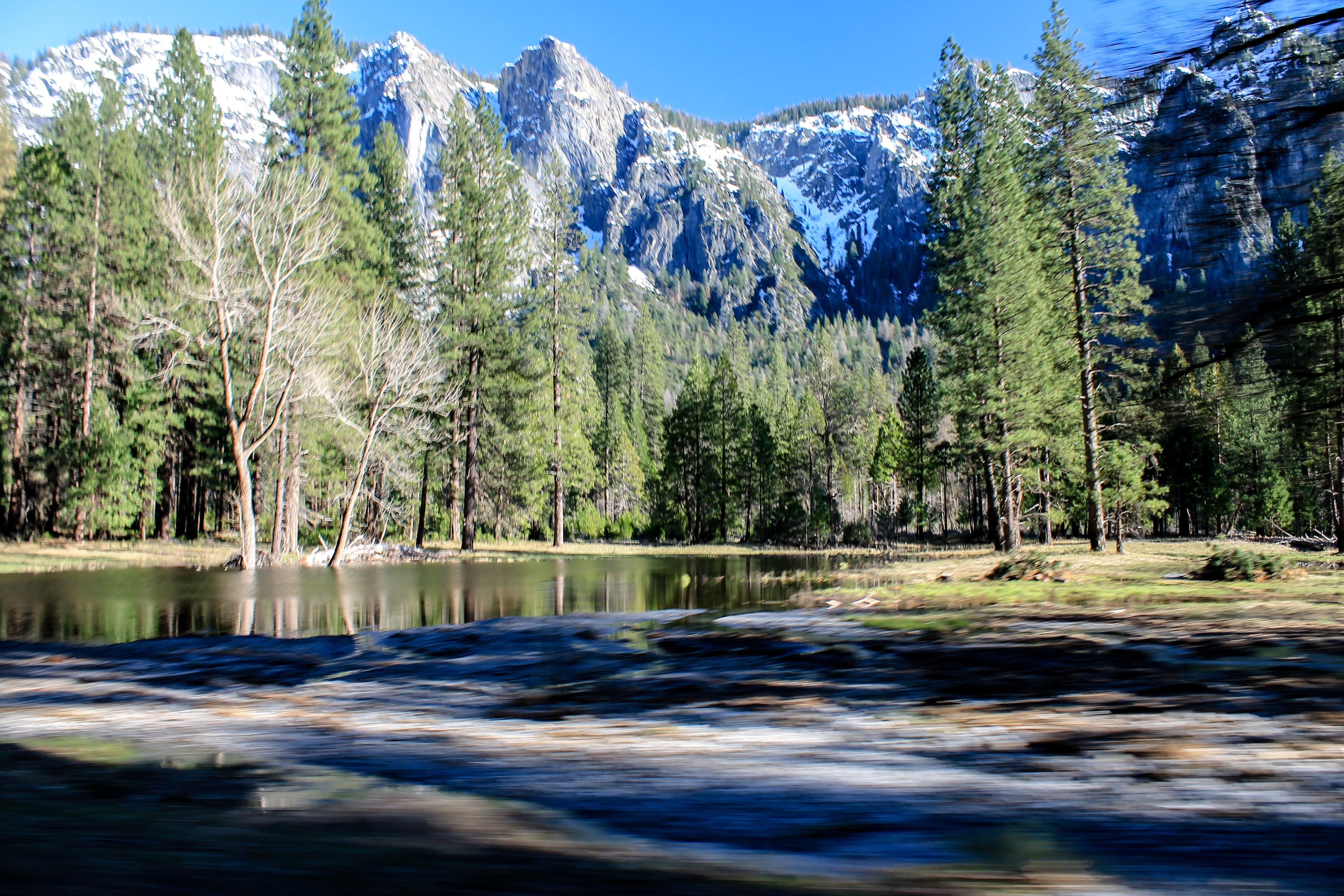 granite, tree, non-urban scene, scenic, point, no people, travel, near, beauty in nature, tranquility, lake, camping, glacier, trees, waterfall, pine woodland, HD Wallpaper