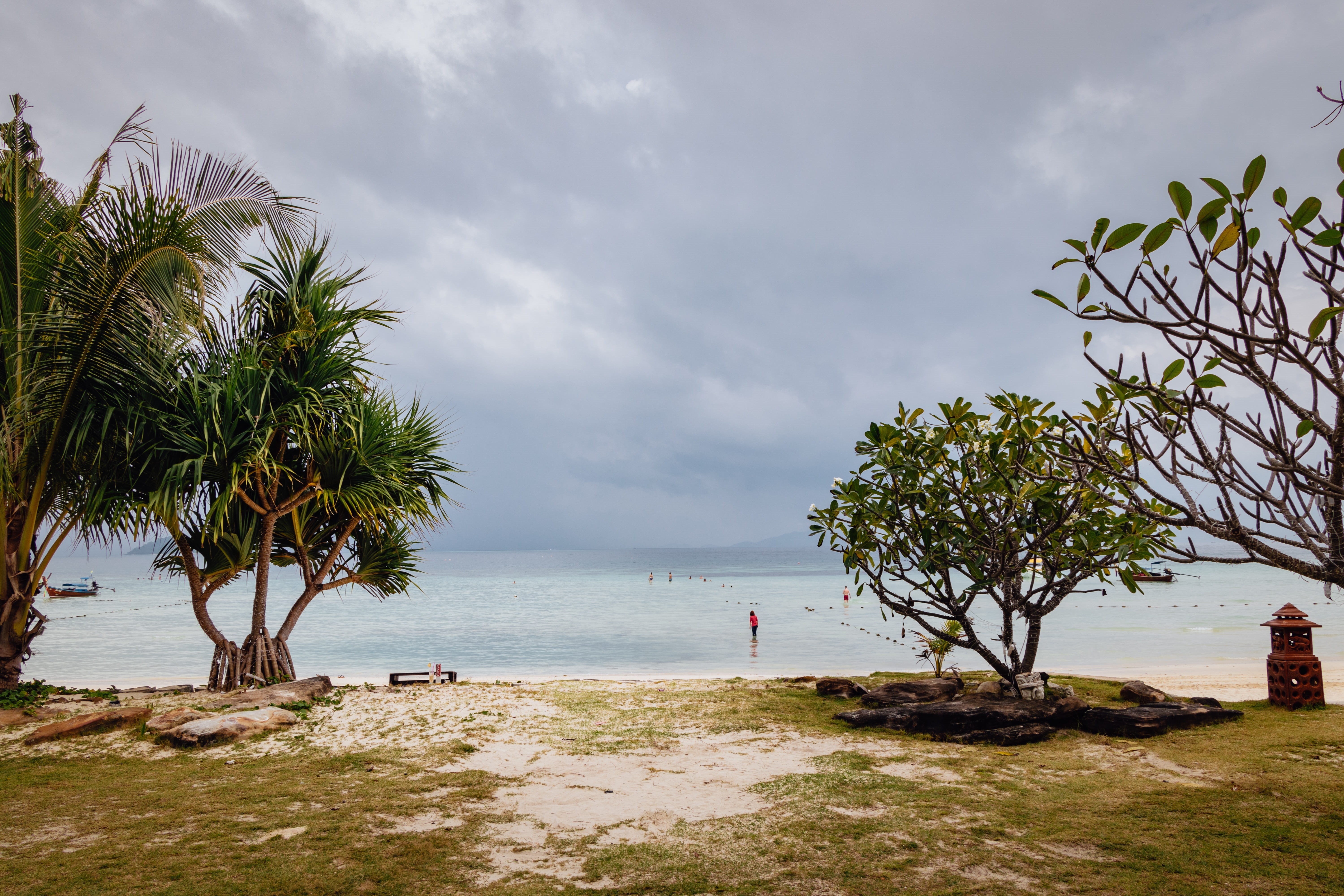 exotic, outdoors, thailand, beach, land, tranquility, tree, day, 5K, view, growth, horizon over water, plant, the tropical, no one, summer, the coast, HD Wallpaper
