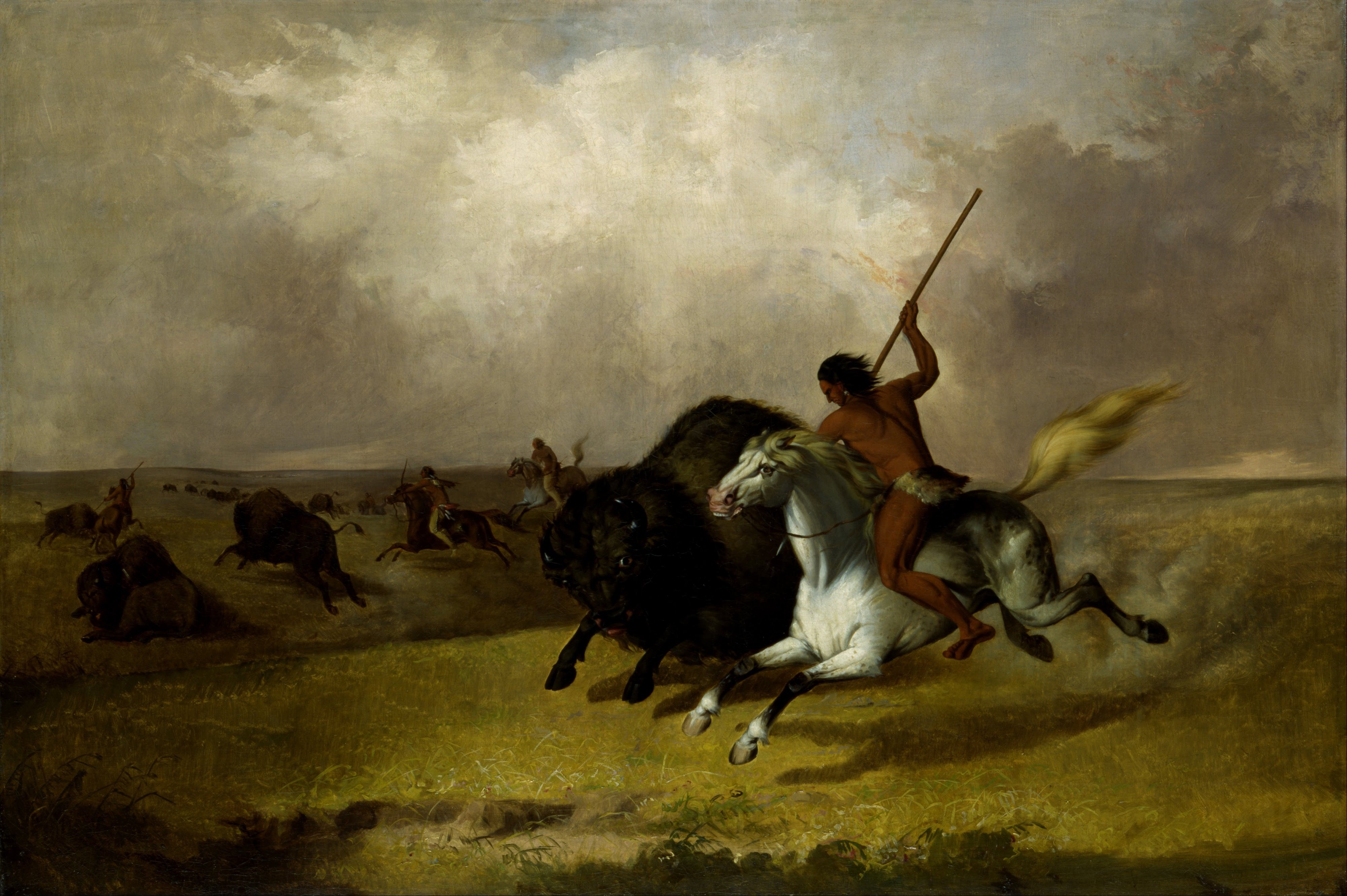 oil on canvas, textured effect, herbivorous, 4K, outside, riding, mammal, group of animals, vertebrate, animal wildlife, livestock, artistic, people, bison, HD Wallpaper