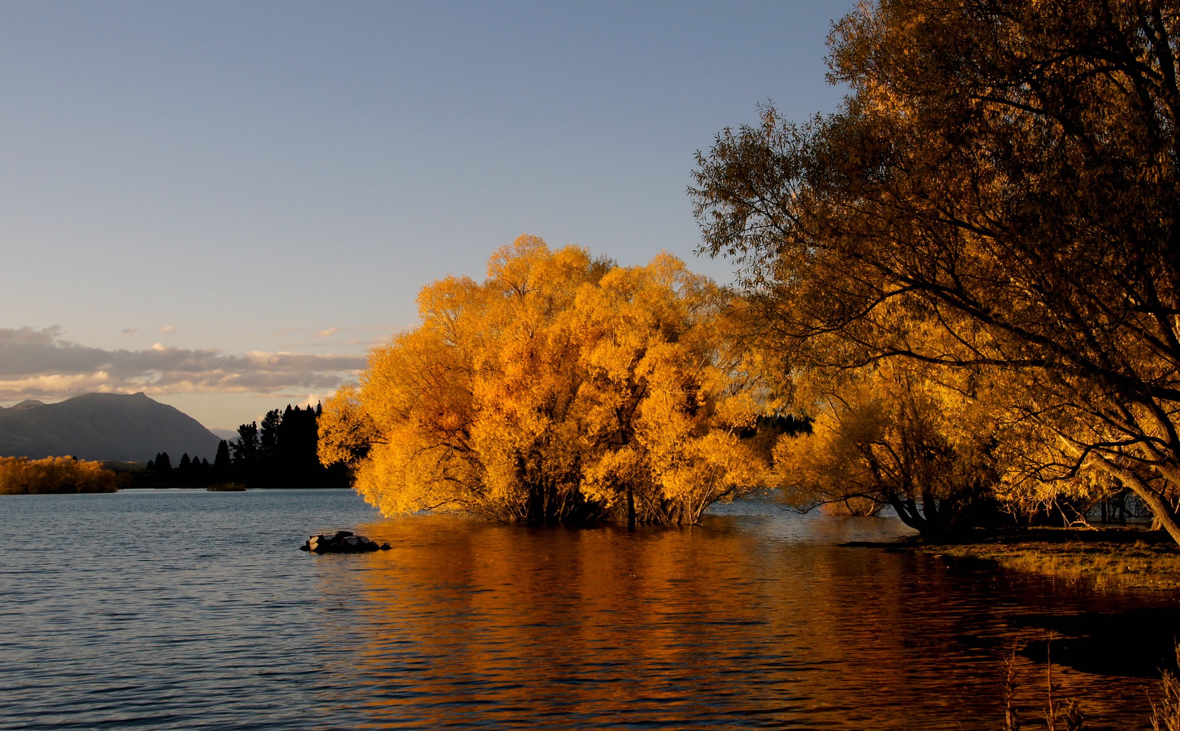 Tamron, Dedication, photos, Fall colors, Autumn, outdoors, beauty In Nature, CC0, landscape, 1080P, New Zealand  South Island, forest, brown, Autumn  Fall, HD Wallpaper