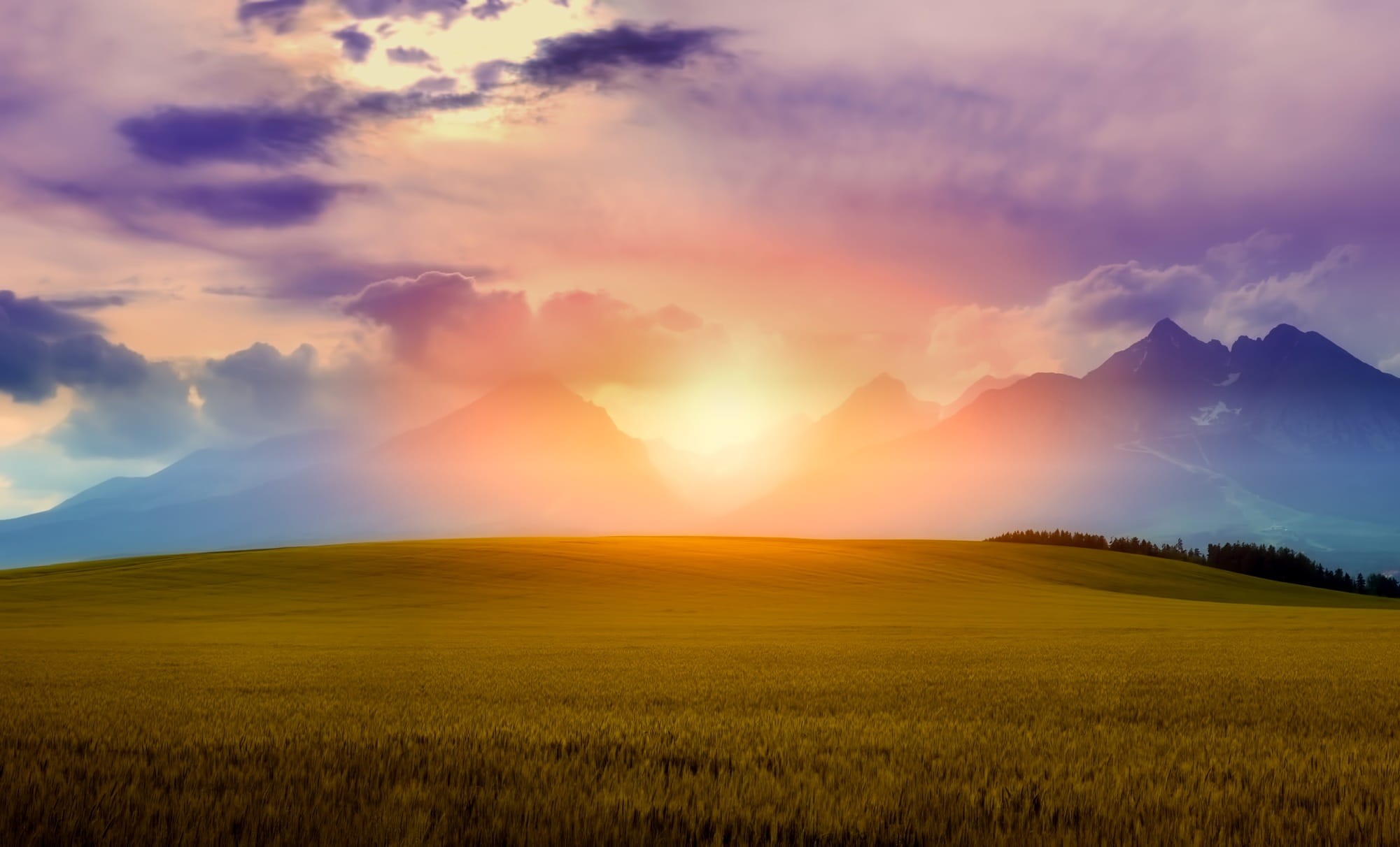summer, mountains, plant, nature, scenics - nature, lens flare, black, tatras, dramatic sky, dusk, grass, land, photo, meadow, cloud - Sky, green Color, HD Wallpaper