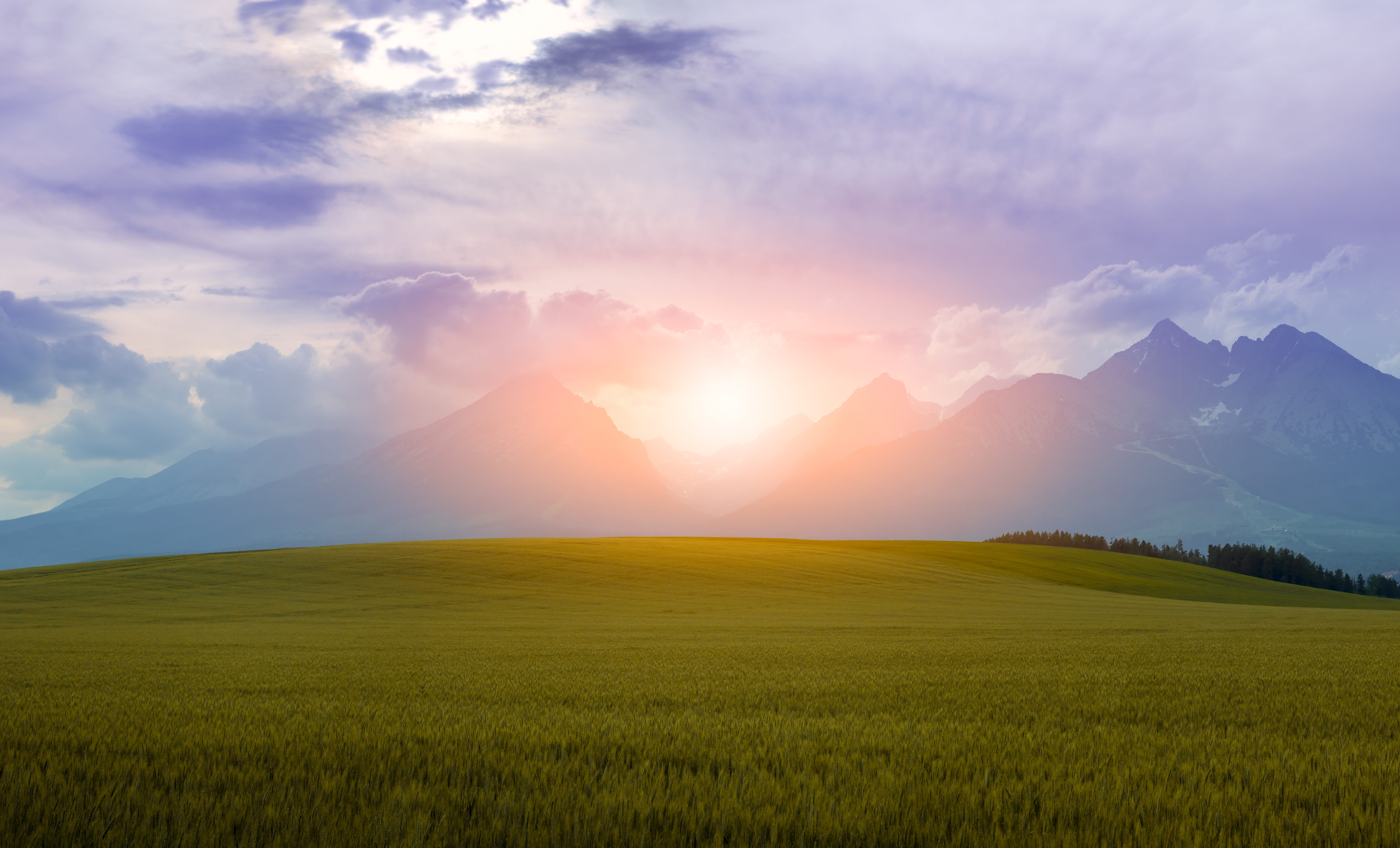 non-Urban Scene, grass, summer, near, lens flare, crop, farm, daytime, sky, sun, tranquility, green, sunrise, no people, outdoors, rolling landscape, cloud - Sky, HD Wallpaper