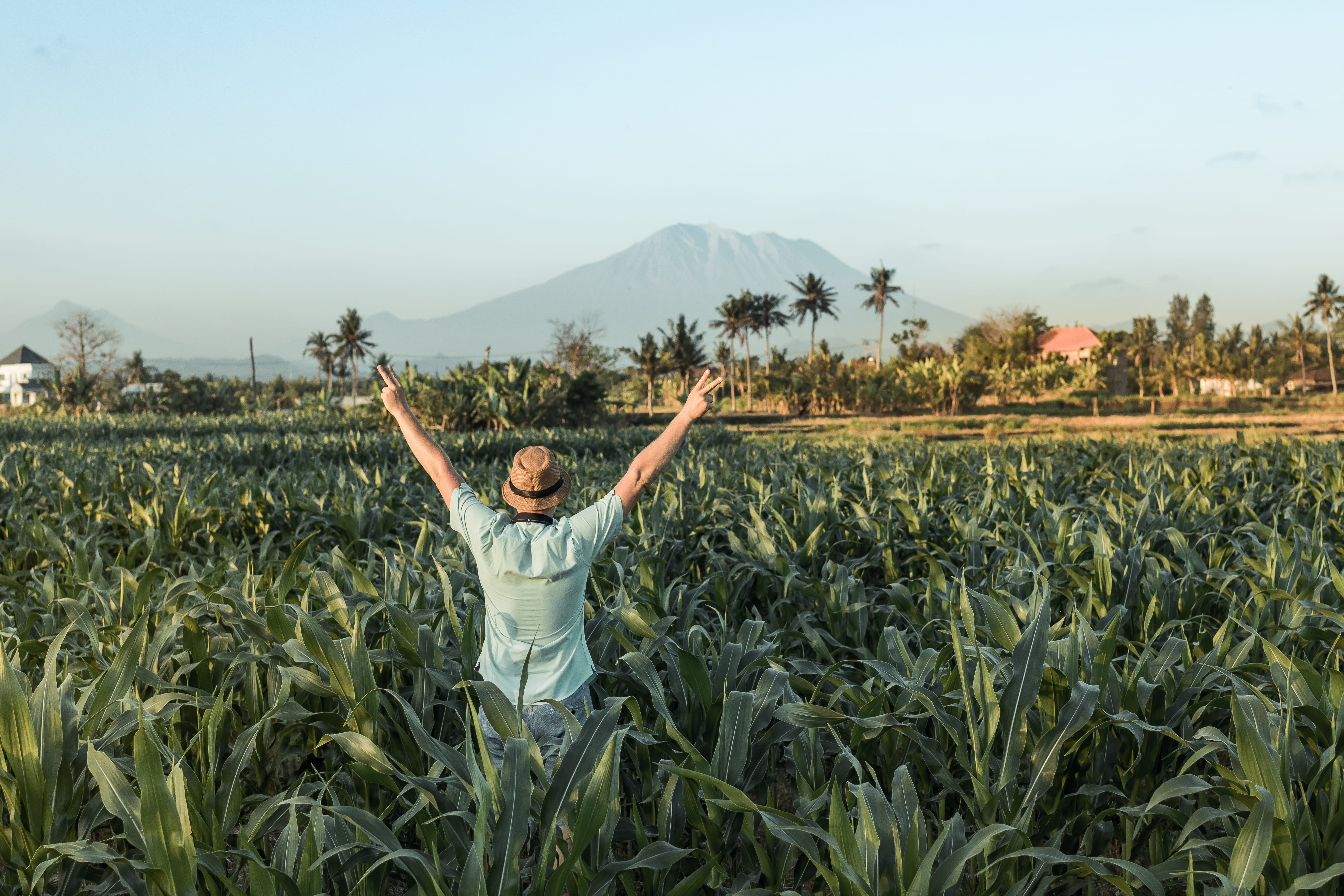 summer, beauty in nature, mountain, plant, sky, food, hat, volcano, success, asia, grow, green, peace sign, travel, countryside, scenery, trees, plantation, HD Wallpaper