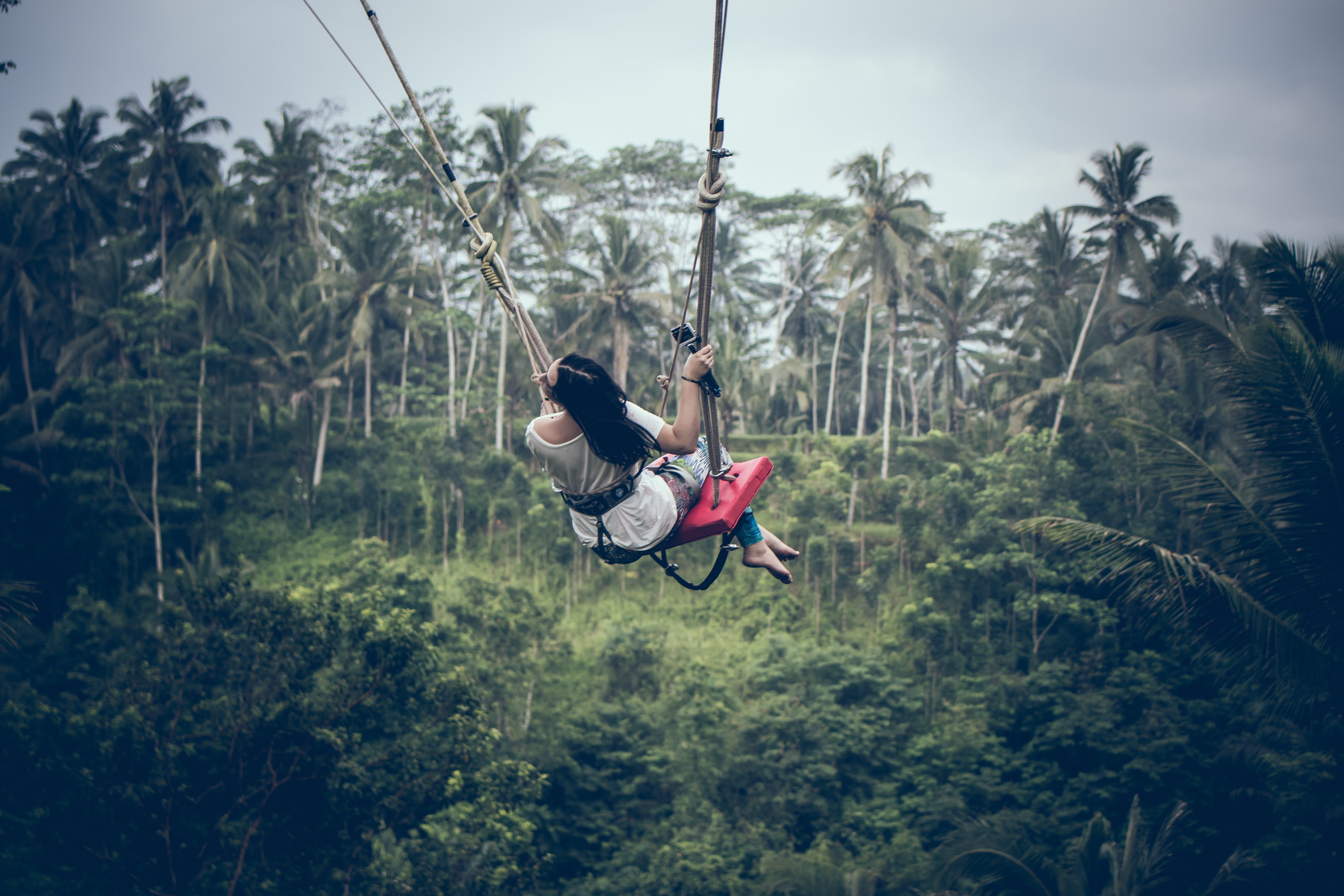 growth, trees, leisure, one person, fun, vacation, adrenaline, high, women, 5K, extreme, holding, haired, scary, riding, swinging, recreation, palm trees, HD Wallpaper