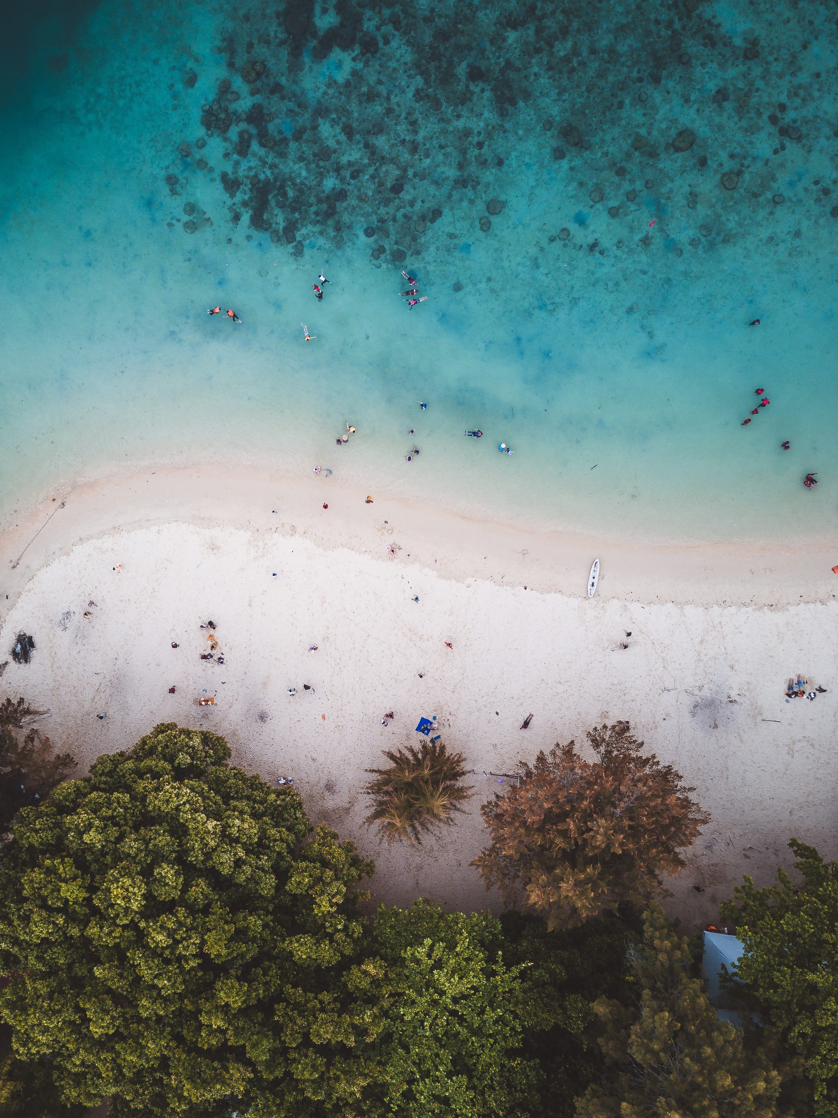 plant, turquoise colored, beauty in nature, sand, photo, summer, sea, water, blue, snorkeling, tranquil scene, drone, holiday, nature, land, scenics - nature, Phone HD Wallpaper