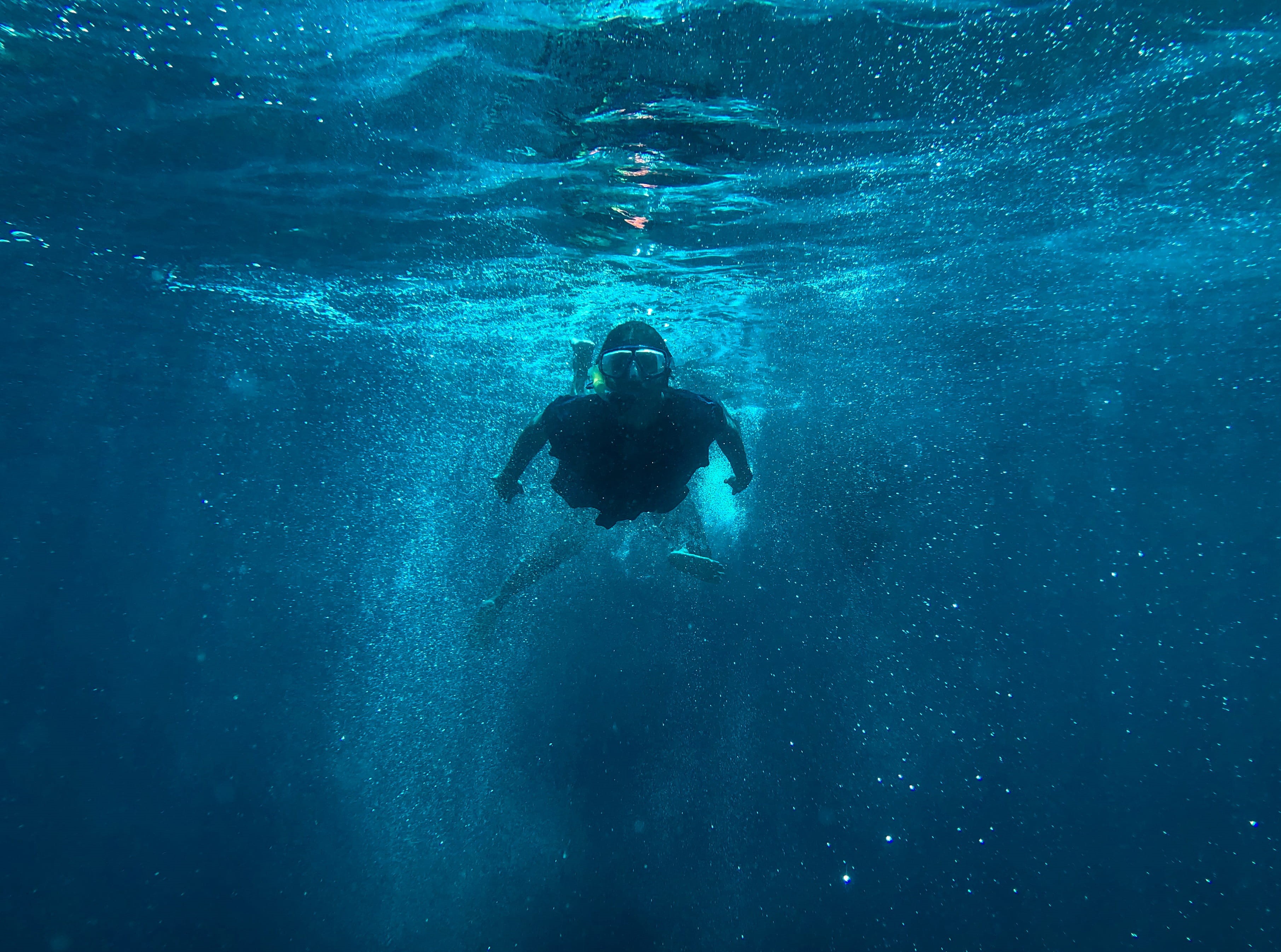 diver, human, sports, sea, man, flooring, diving, blue, exploration, 2K, swimming, scuba diving, real people, sea life, one person, underwater diving, HD Wallpaper