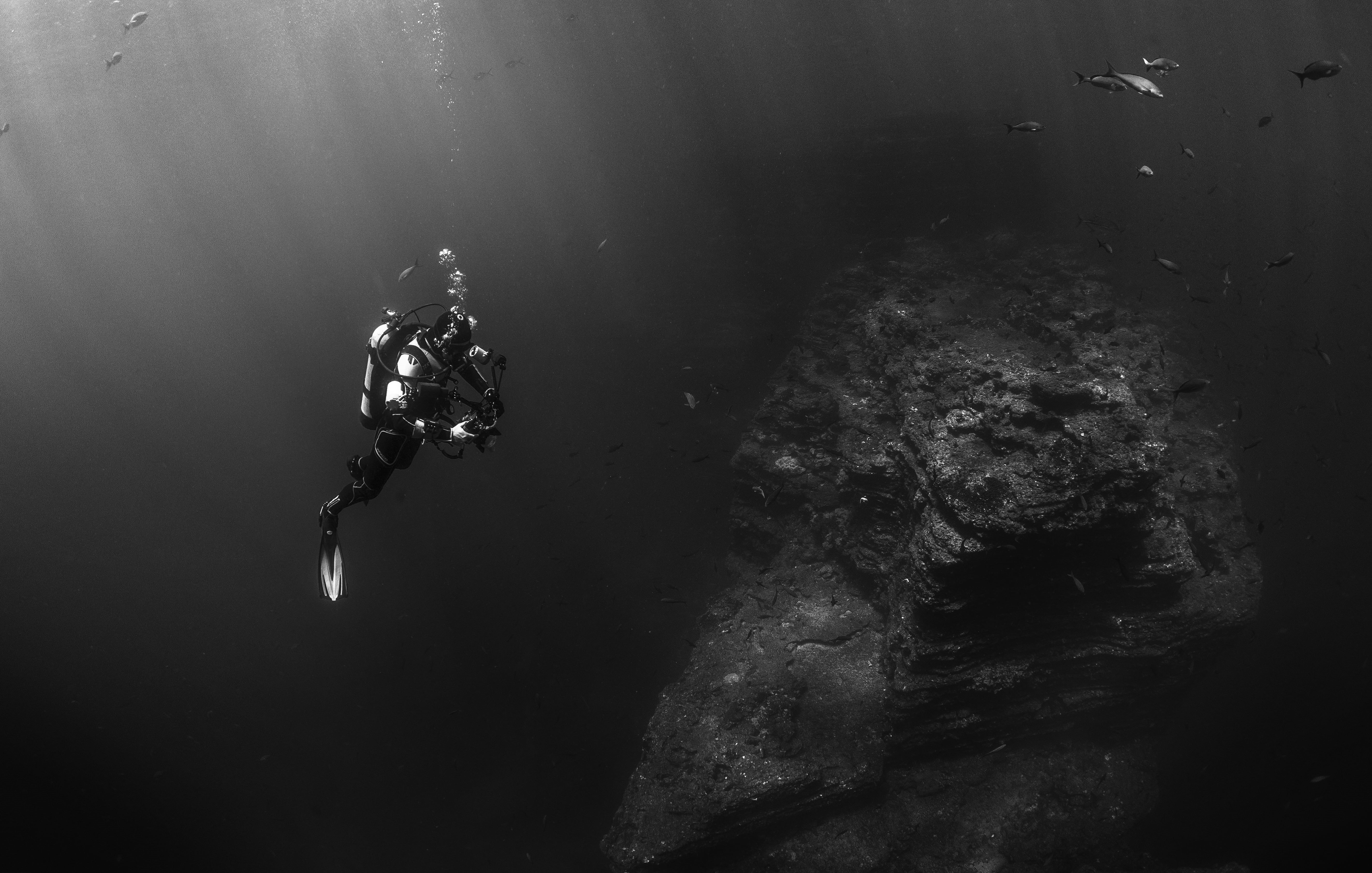 ocean, man, undersea, deep, day, scuba diving, dark, 5K, underwater diving, oxygen, diver, diving, flippers, exploration, sport, scuba diver, water, fish, HD Wallpaper