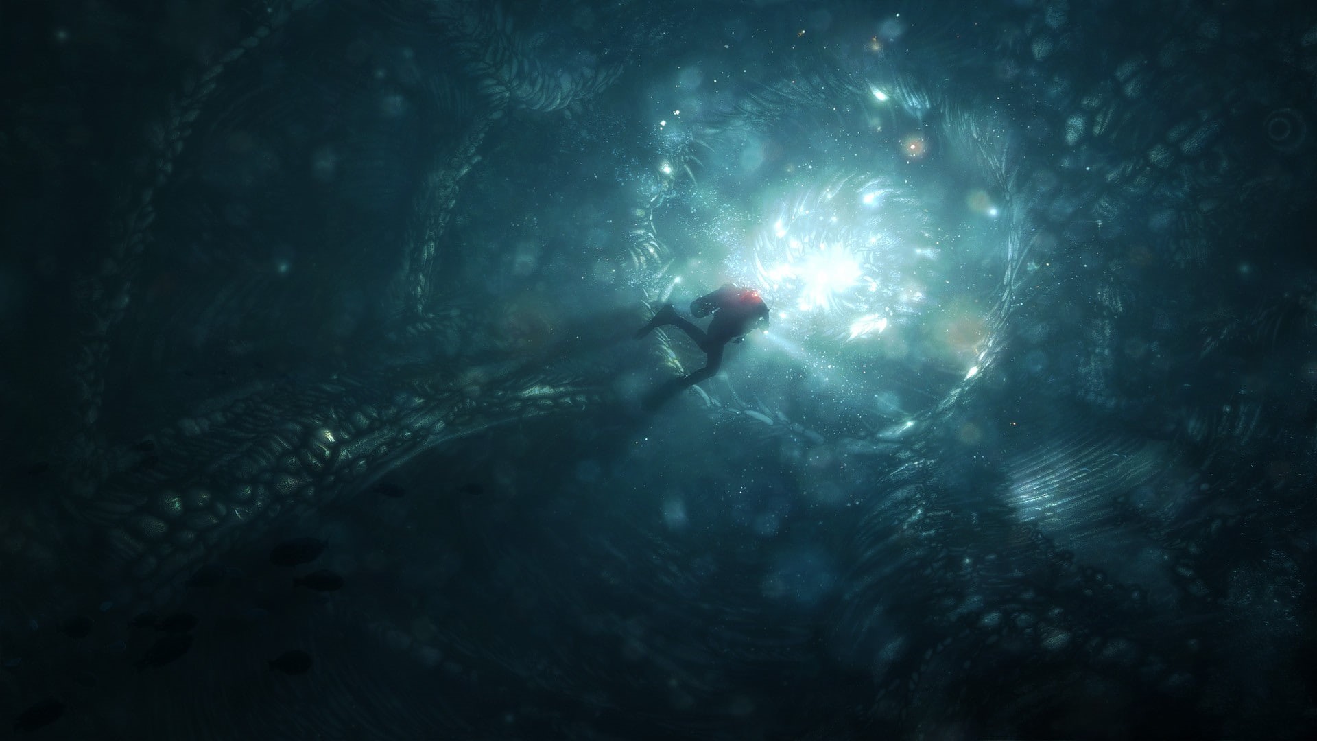 sea life, exploration, underwater, 1080P, aquatic sport, underwater diving, scuba diving, sport, outdoors, animals in the wild, video games, nature, water, HD Wallpaper