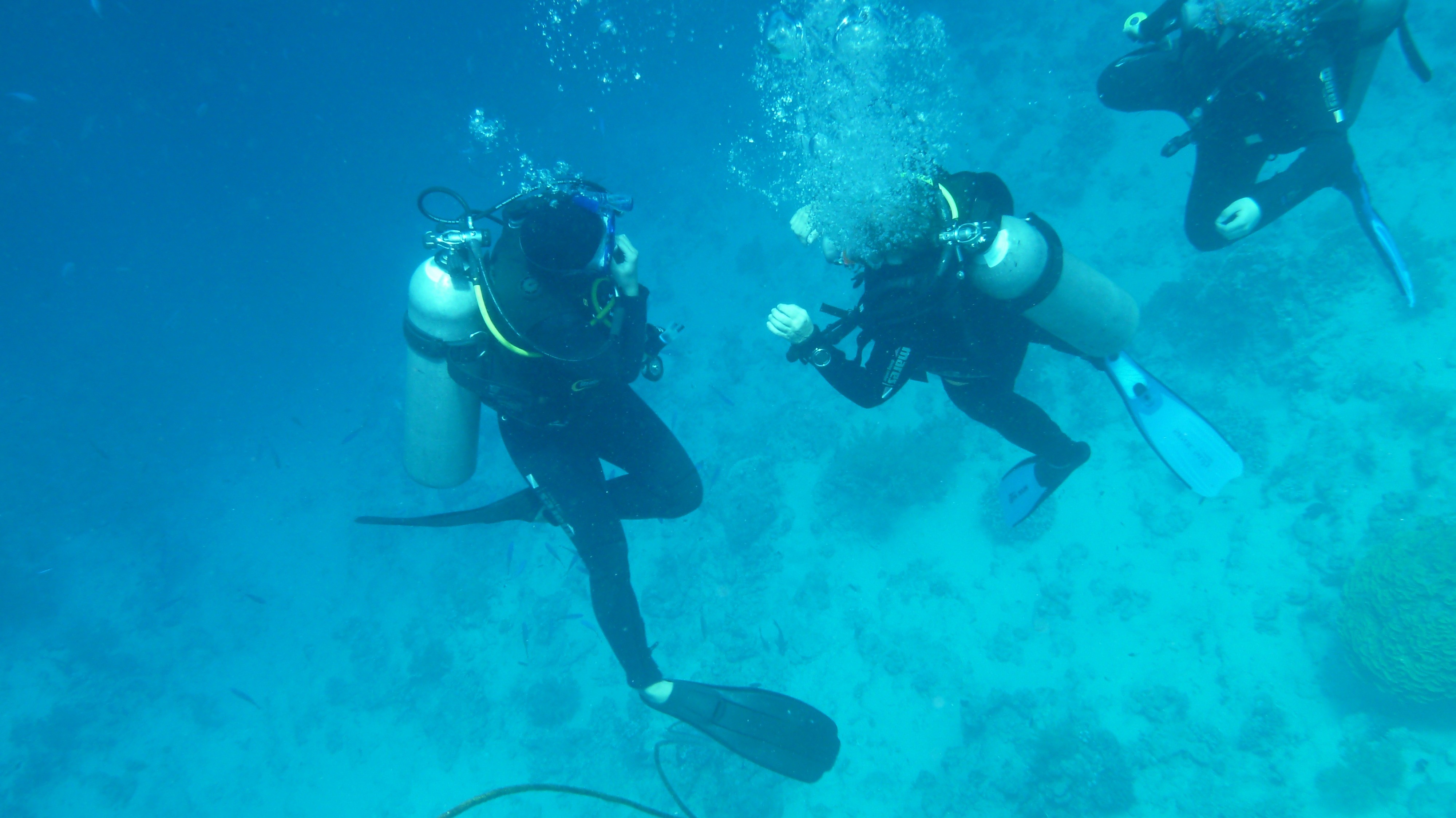people, aquatic sport, undersea, scuba diving, three, men, leisure activity, breathing apparatus, underwater diving, adventure, water, sport, diving flipper, HD Wallpaper