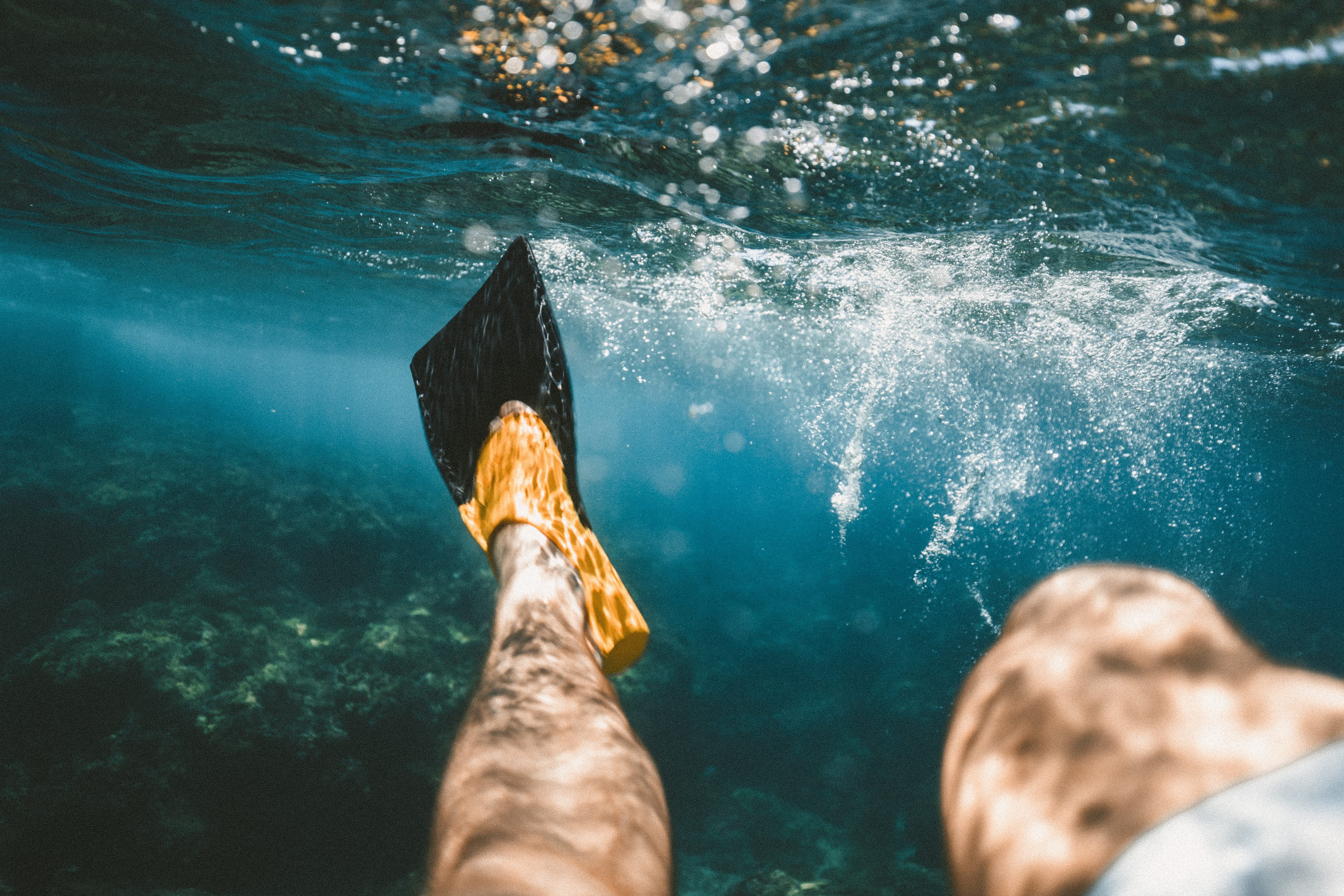 colorful, maui, adult, low section, body part, one person, underwater diving, closeup, sea, swimming pool, bubbles, hawaii, island, human foot, tropical, HD Wallpaper