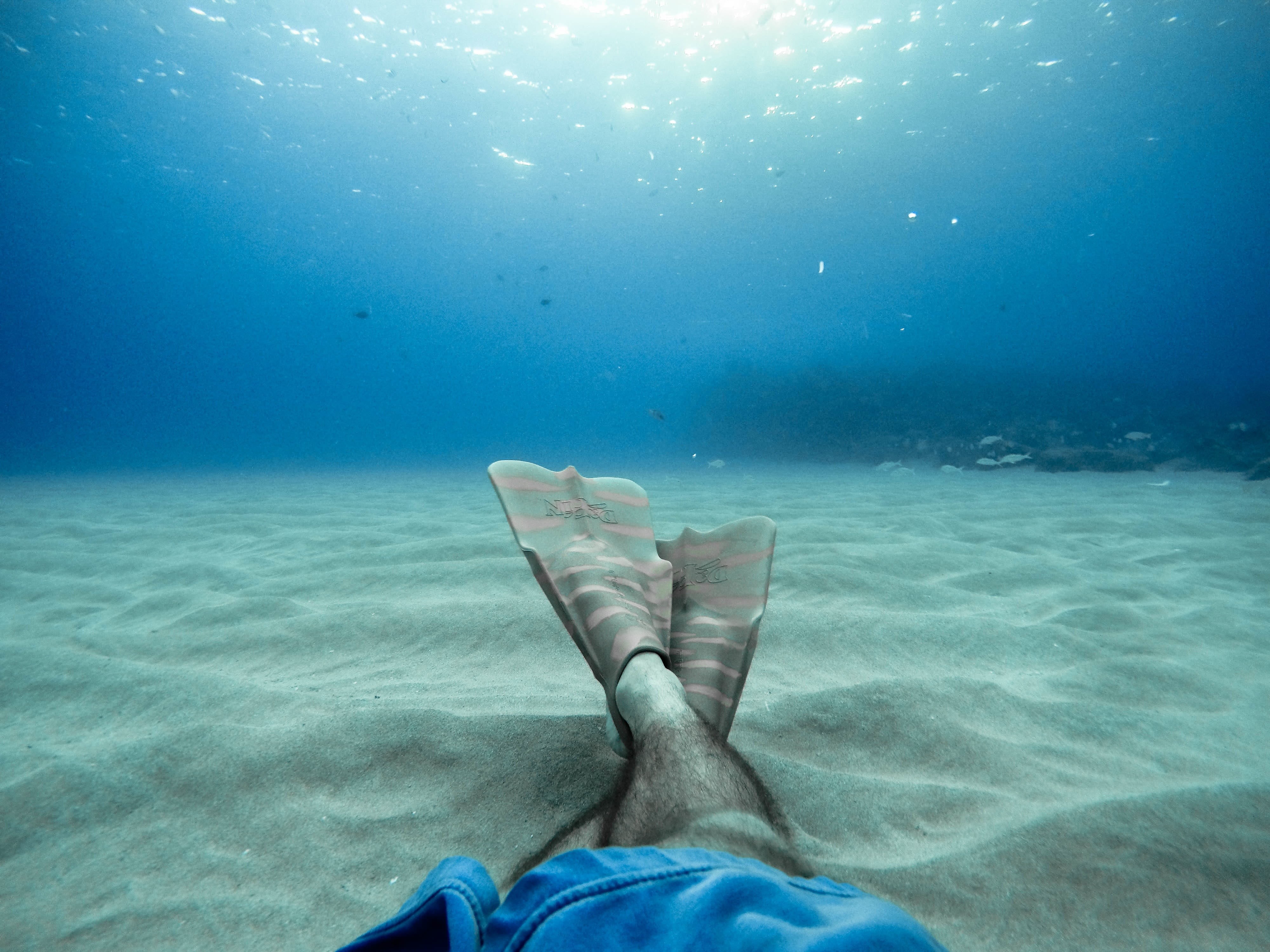 nature, foot, ocean, diving, unrecognizable person, body part, adult, relax, water, sea, undersea, swimming pool, underwater, human limb, personal perspective, HD Wallpaper