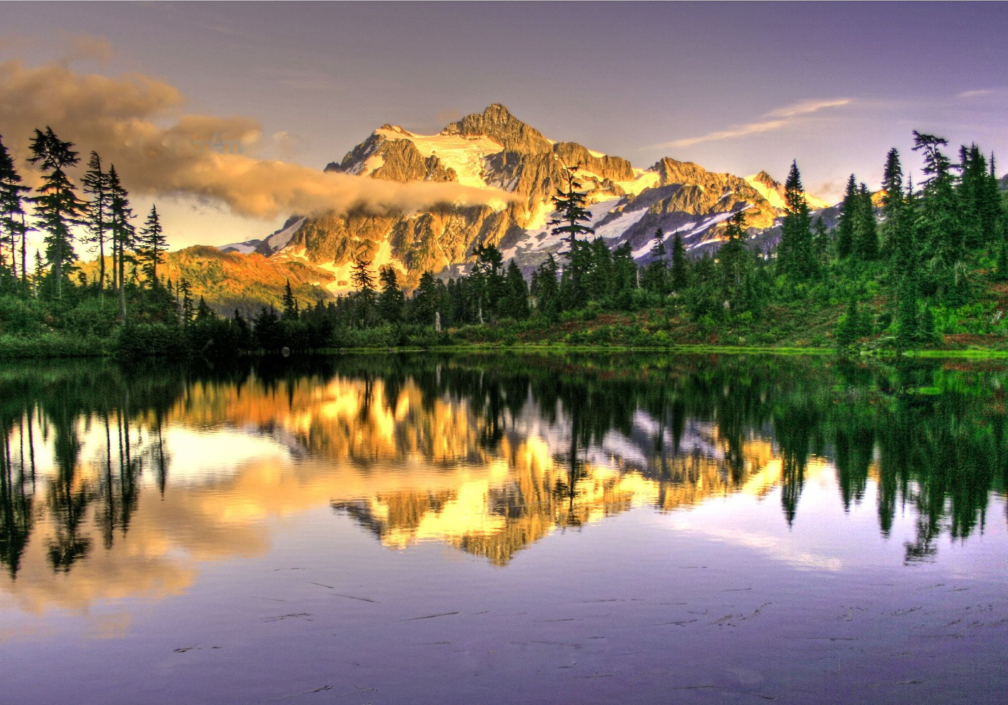 lovely, covered, travel, nature, summer, infront, beauty In Nature, Larsen, outdoors, trees, North Cascades, Mt, reflection, mountain Peak, Envy, tree, HD Wallpaper