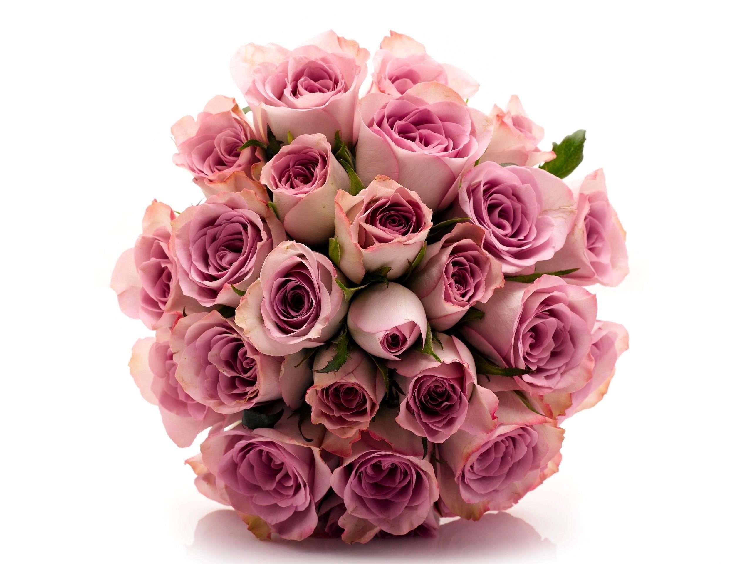 elegance, flowering plant, orb, nature, vulnerability, beautiful, pink, 2K, decoration, valentines Day - Holiday, rose, celebration, red, bouquet, roses, HD Wallpaper