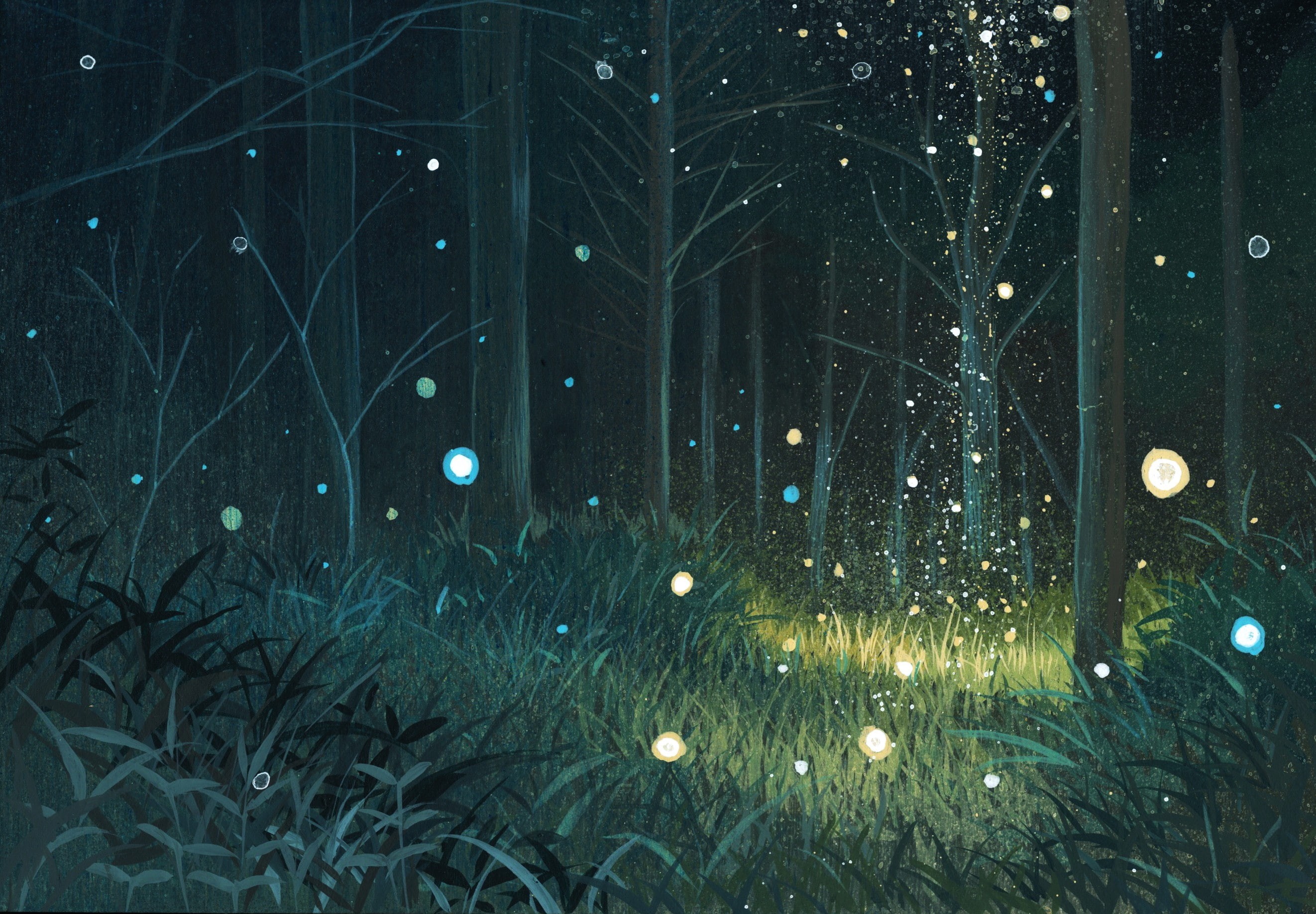 orbs, magic, nature, forest, grass, green, 2K, plants, trees, HD Wallpaper