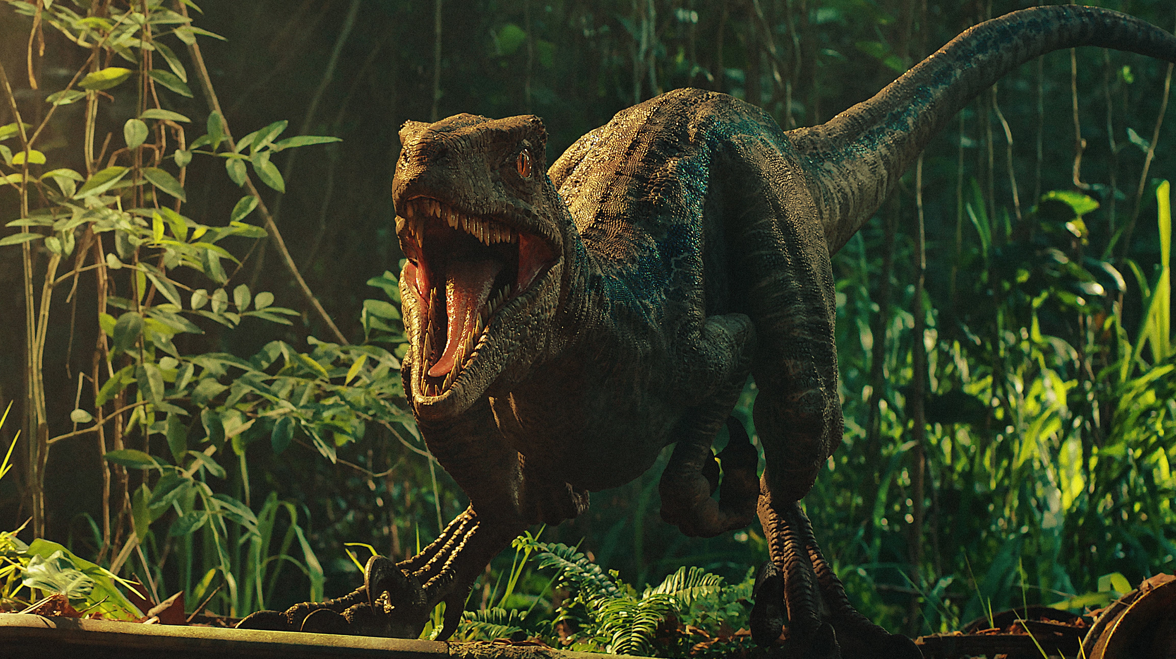 jurassic, dinosaurs, world, kingdom, 4K, fallen, HD Wallpaper