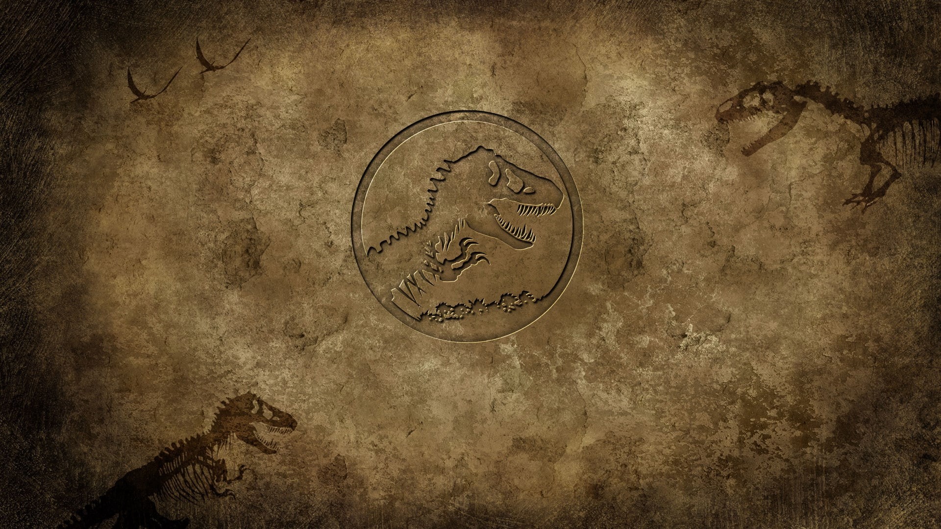brown, text, textured, coin, colored background, communication, dirt, close-up, vignette, no people, textured effect, backgrounds, paper, animal, indoors, HD Wallpaper
