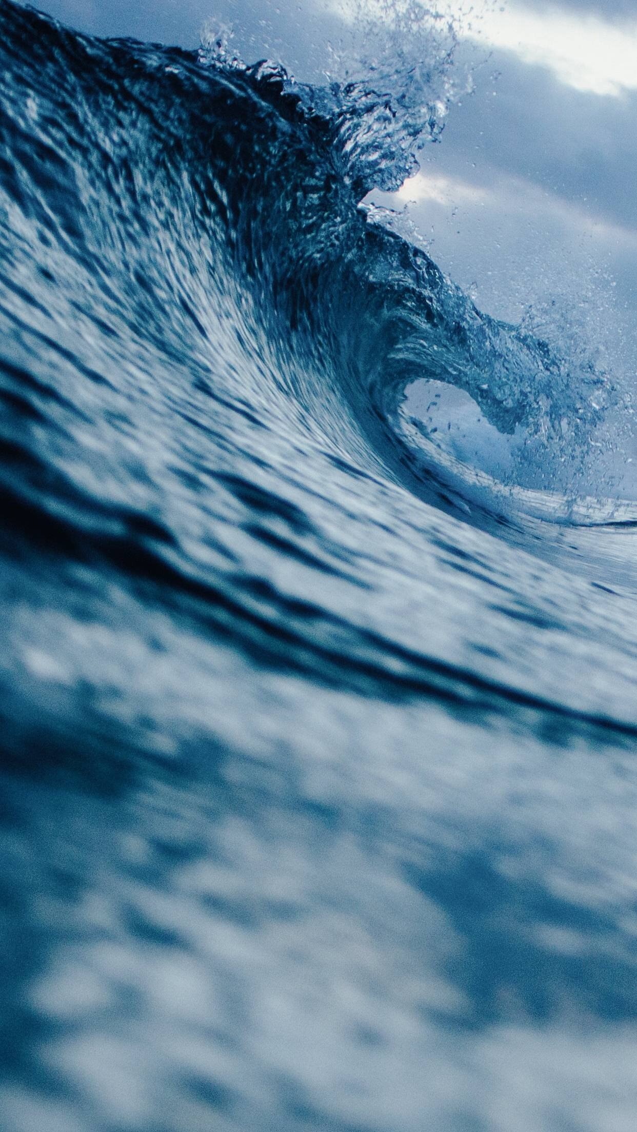 animal, undersea, wave, marine, animal themes, environment, 1080P, power in nature, water, beauty in nature, nature, sea, motion, mammal, aquatic mammal, Phone HD Wallpaper