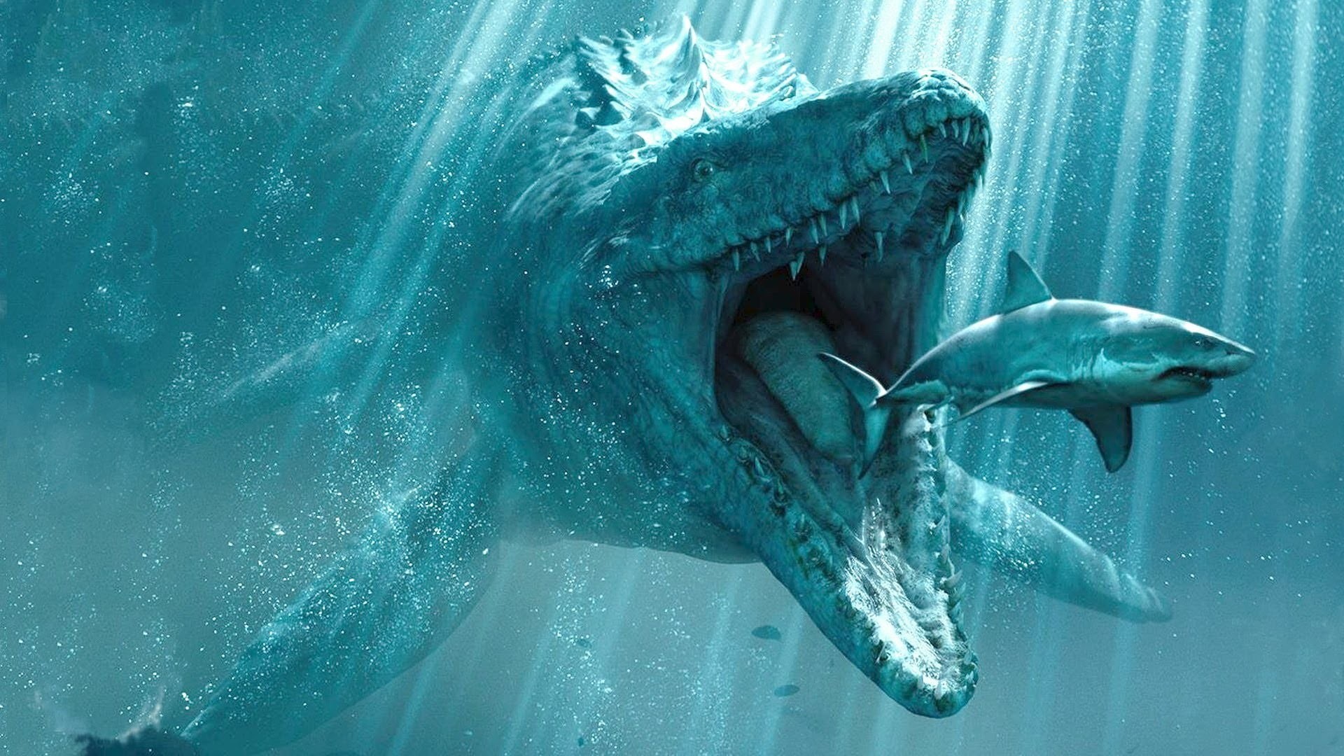 animal, outdoors, undersea, animal wildlife, shark, vertebrate, creature, artwork, swimming, group of animals, water, underwater, marine, sea, fish, animal themes, HD Wallpaper