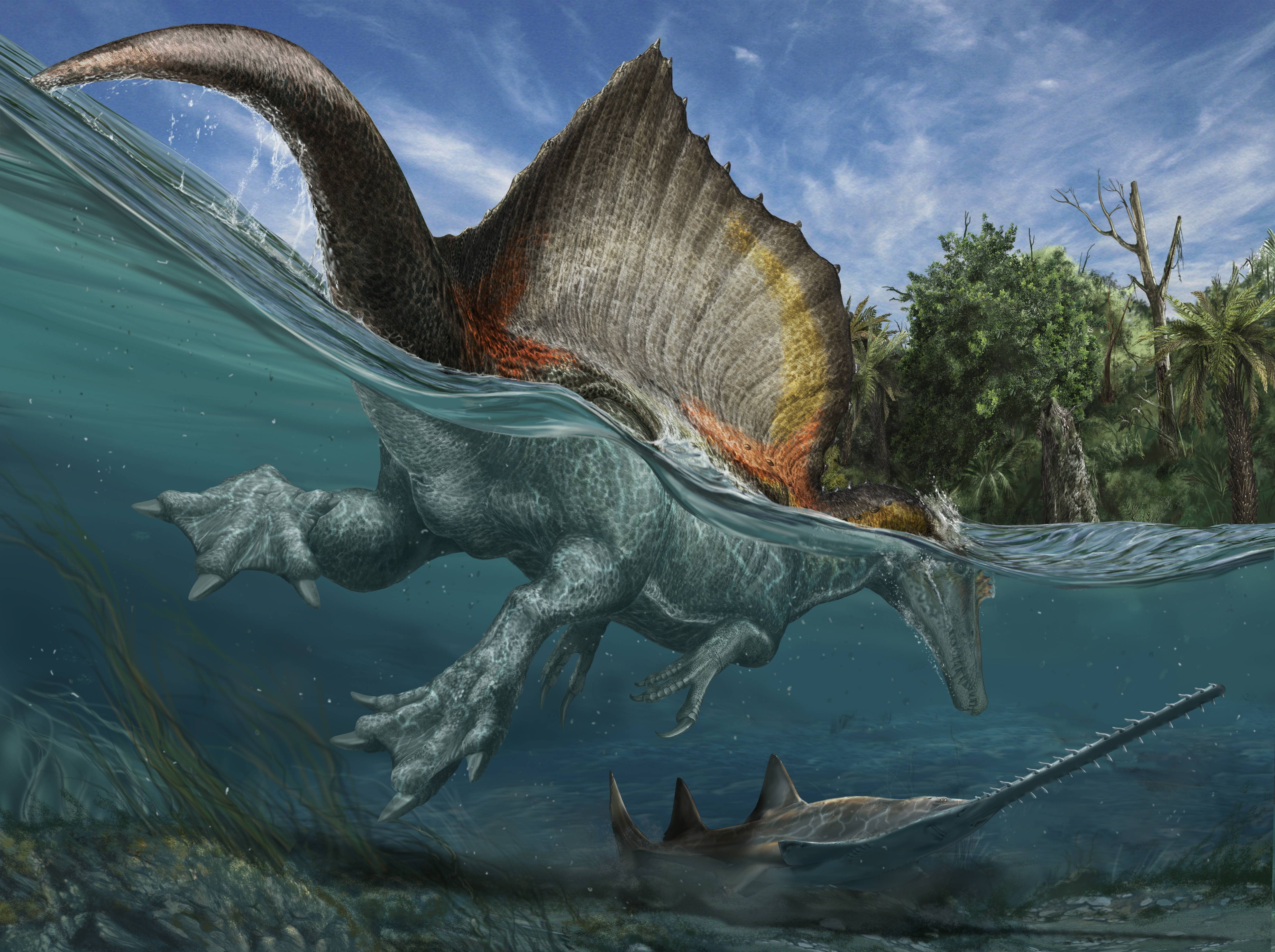 water, 4K, prehistoric animals, dinosaur, fish, HD Wallpaper