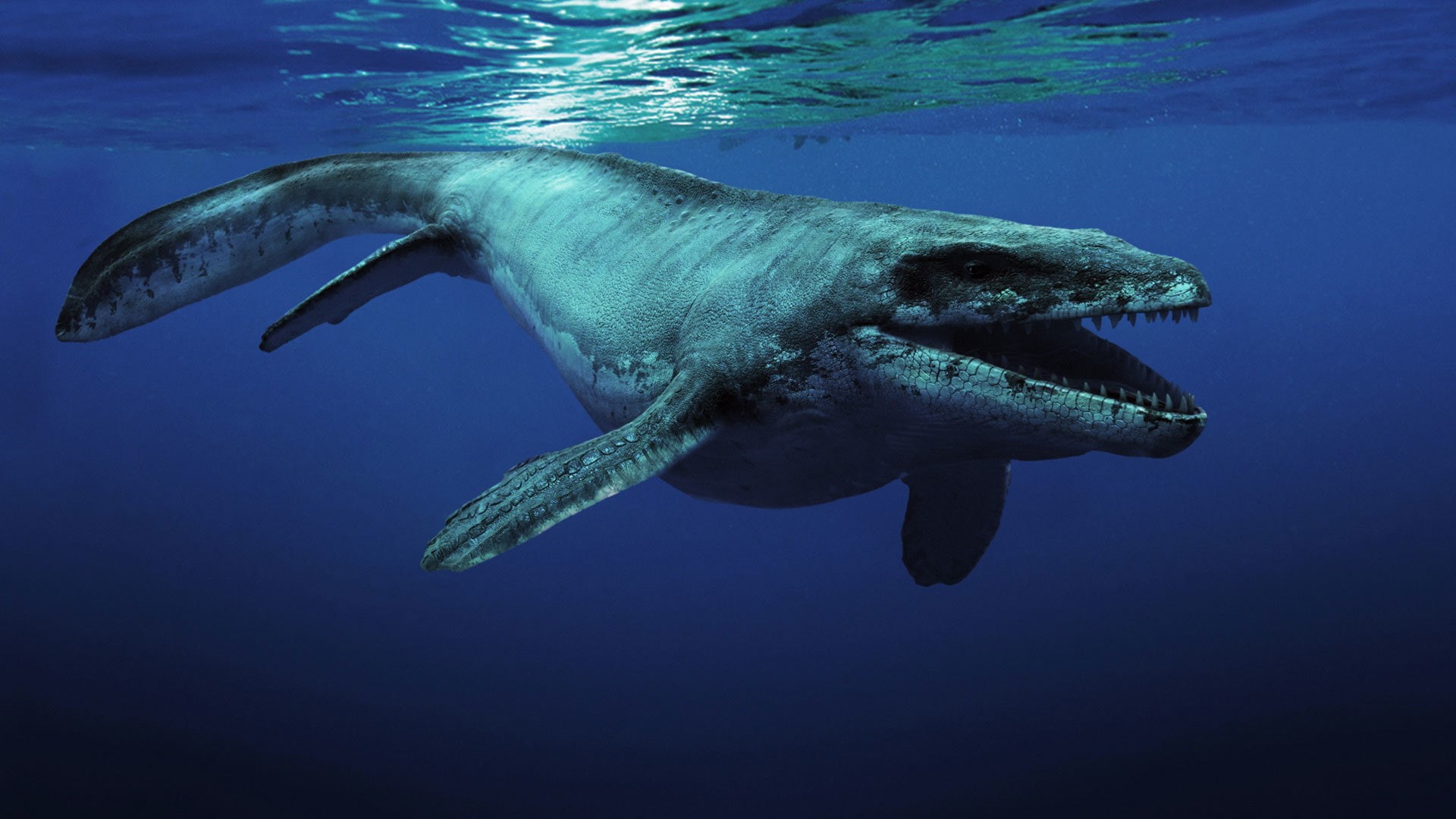 creature, prehistoric animal, Kronosaurus, ocean, 1080P, HD Wallpaper