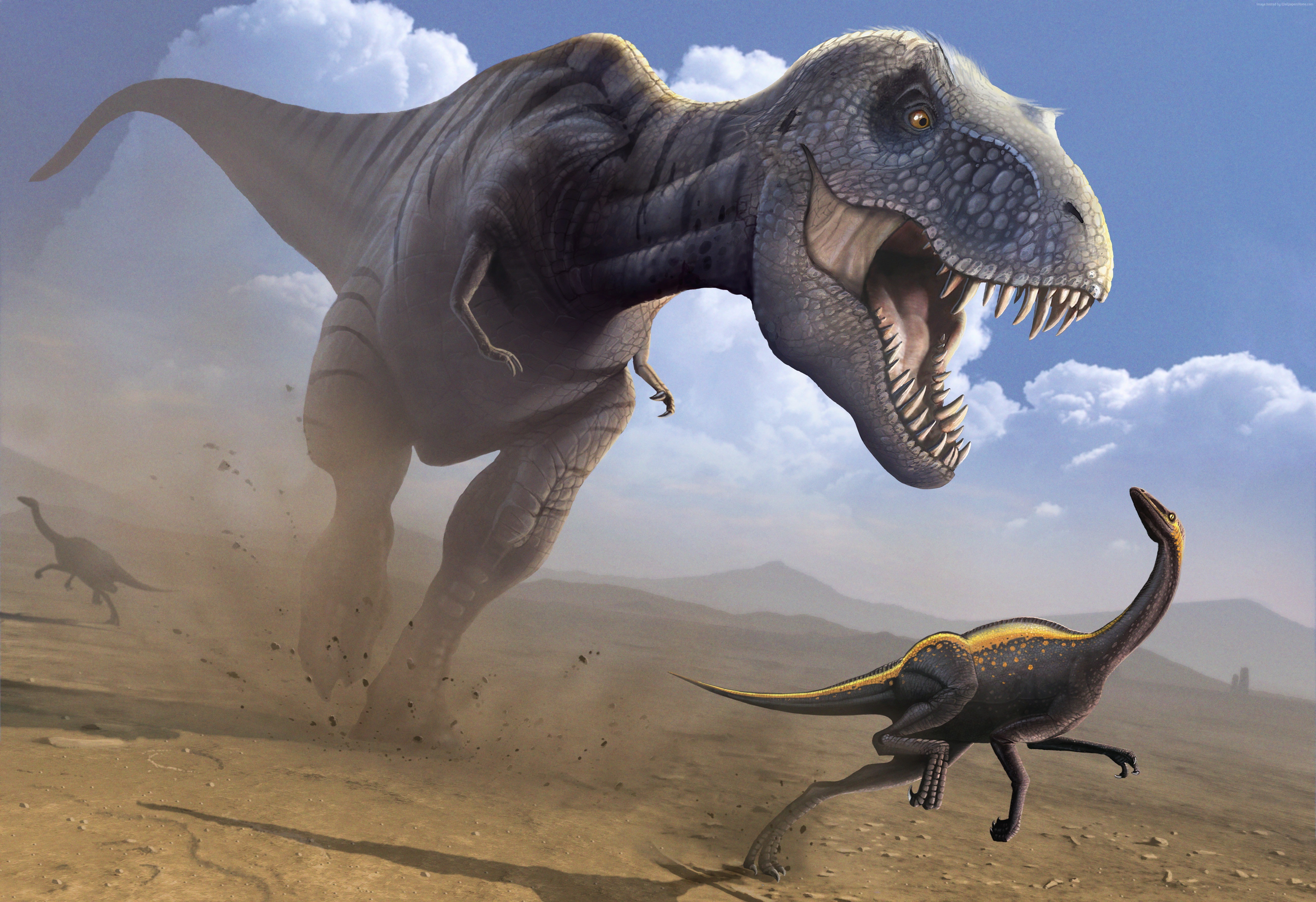 Ornithomimus, 5K, art, Tyrannosaurus, dinosaur, HD Wallpaper