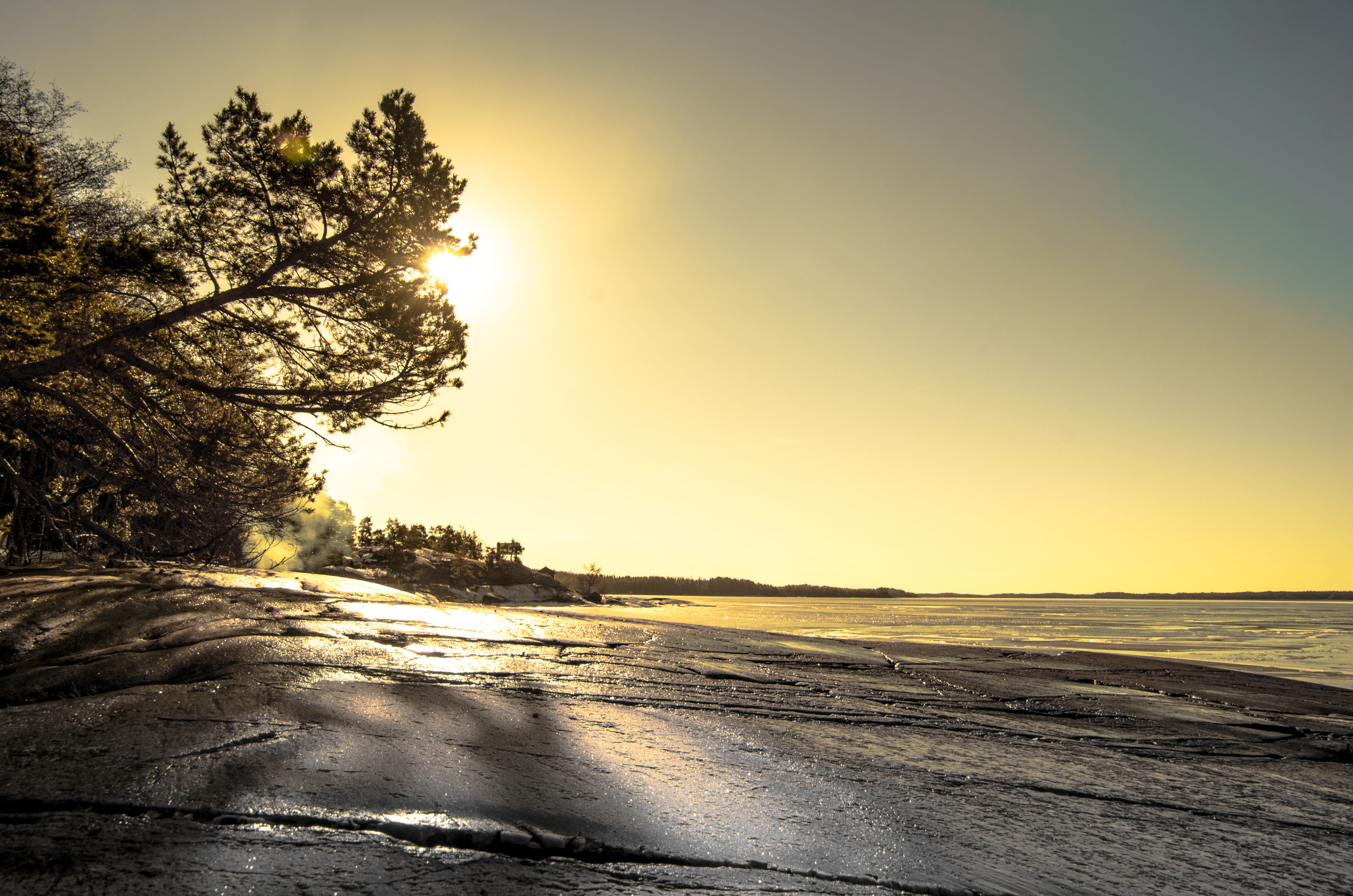 forest, sky, sunlight, tranquil scene, scenics - nature, non-urban scene, tree line, february, finland, sea, water, sunset, light, sun, beauty in nature, HD Wallpaper