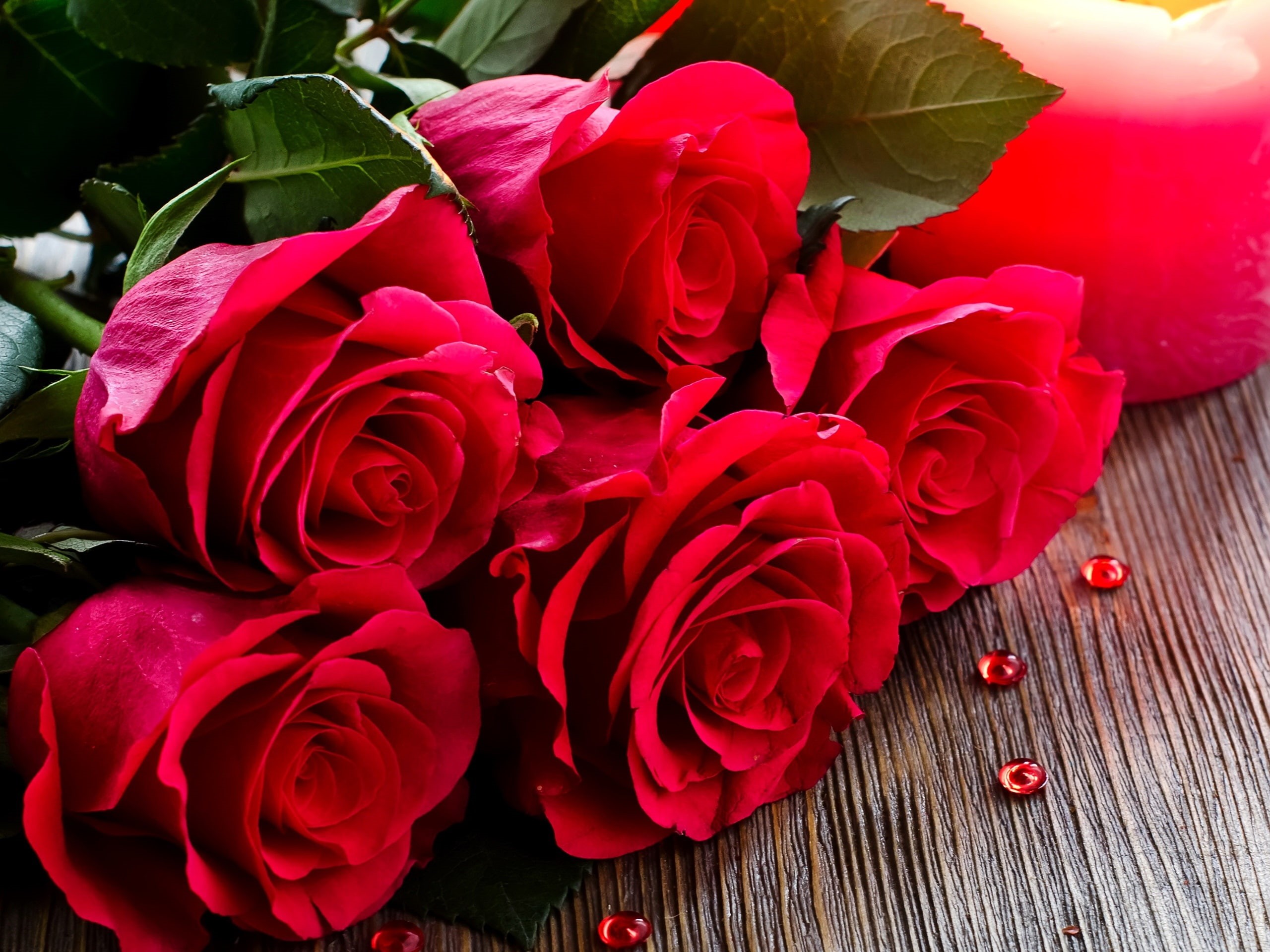five, Flowers, 2K, Roses, close, Red, Bouquet, HD Wallpaper