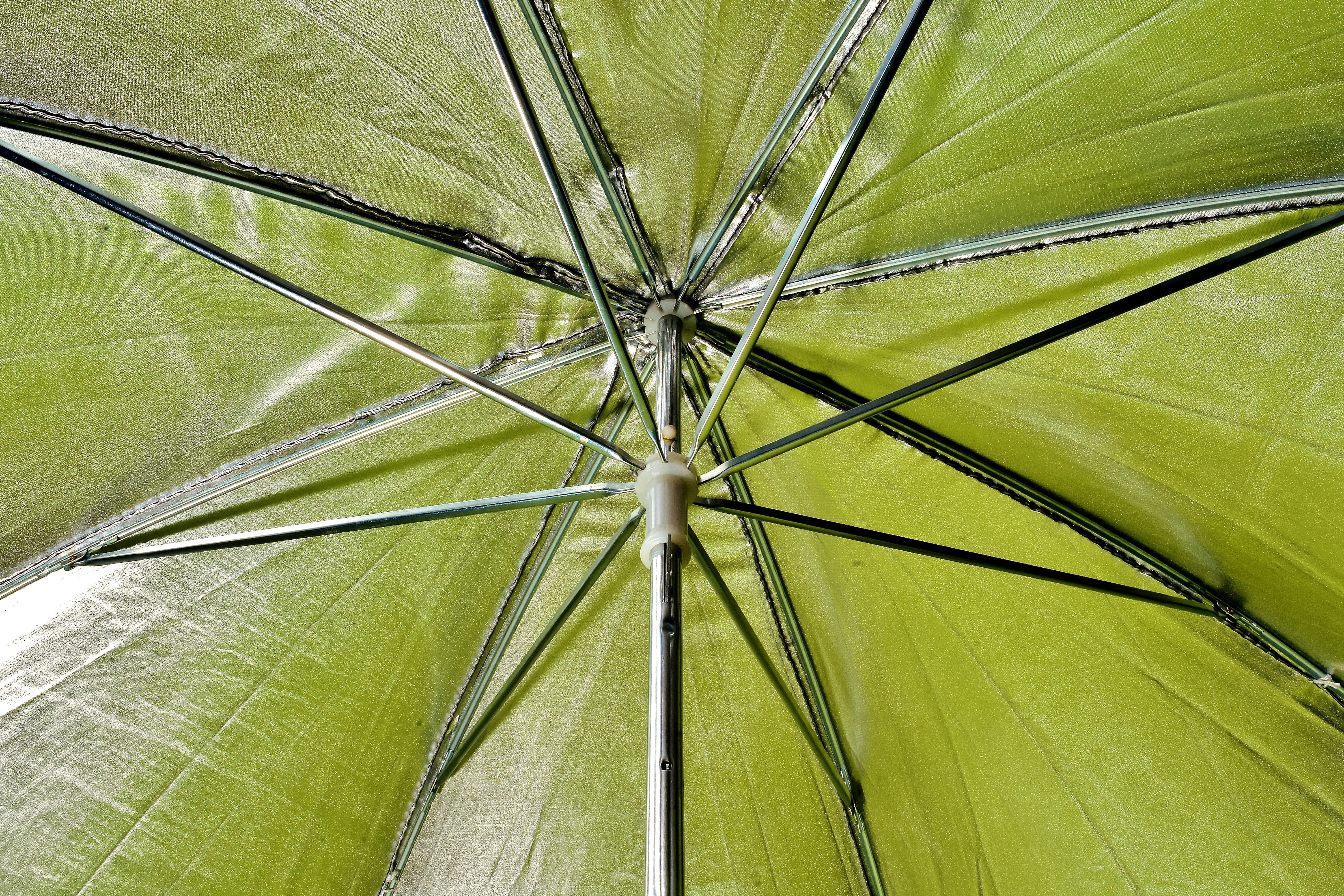 protection, large, directly below, stretched, linkage, reflector umbrella, screen, day, plant, full frame, umbrella, leaf, nature, close-up, growth, security, HD Wallpaper