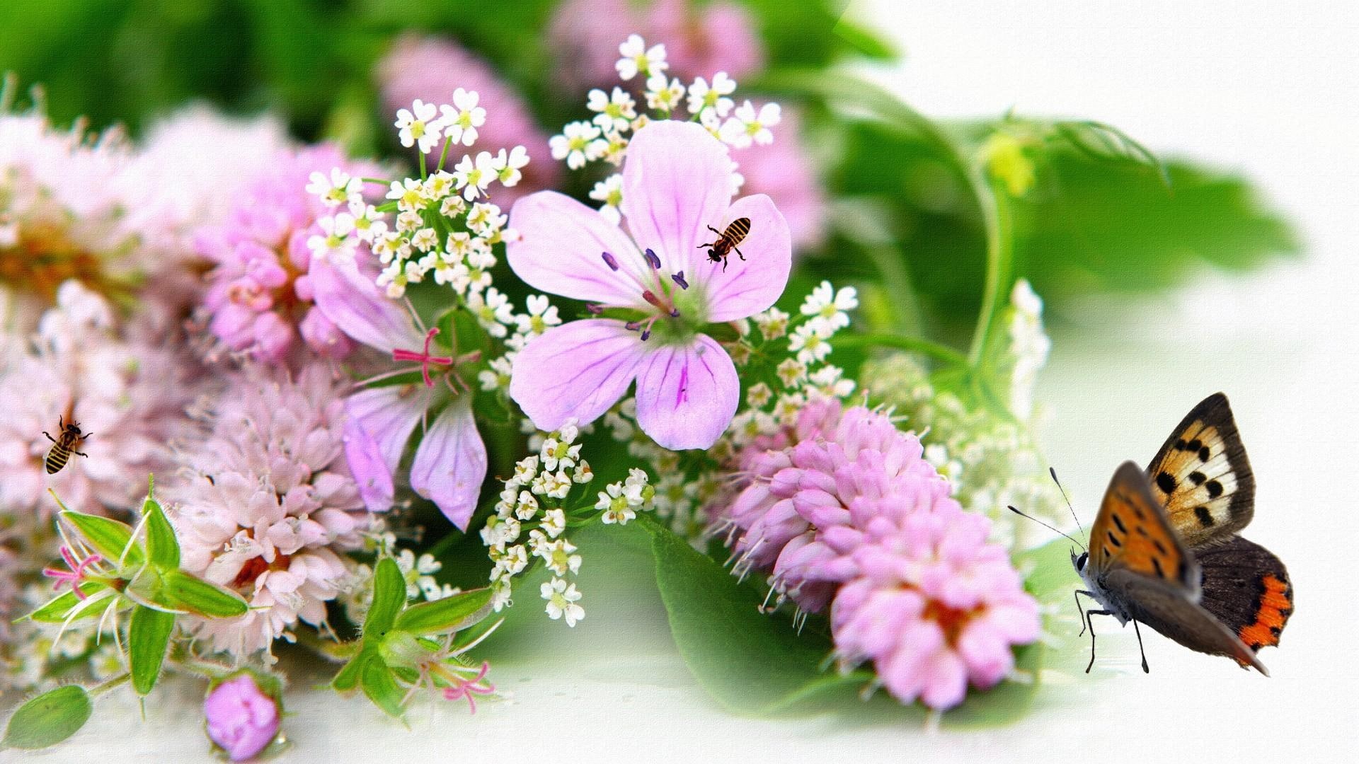 butterfly, flowers, abundance, pink, bees, 3d and abstract, summer, spring, 1080P, HD Wallpaper