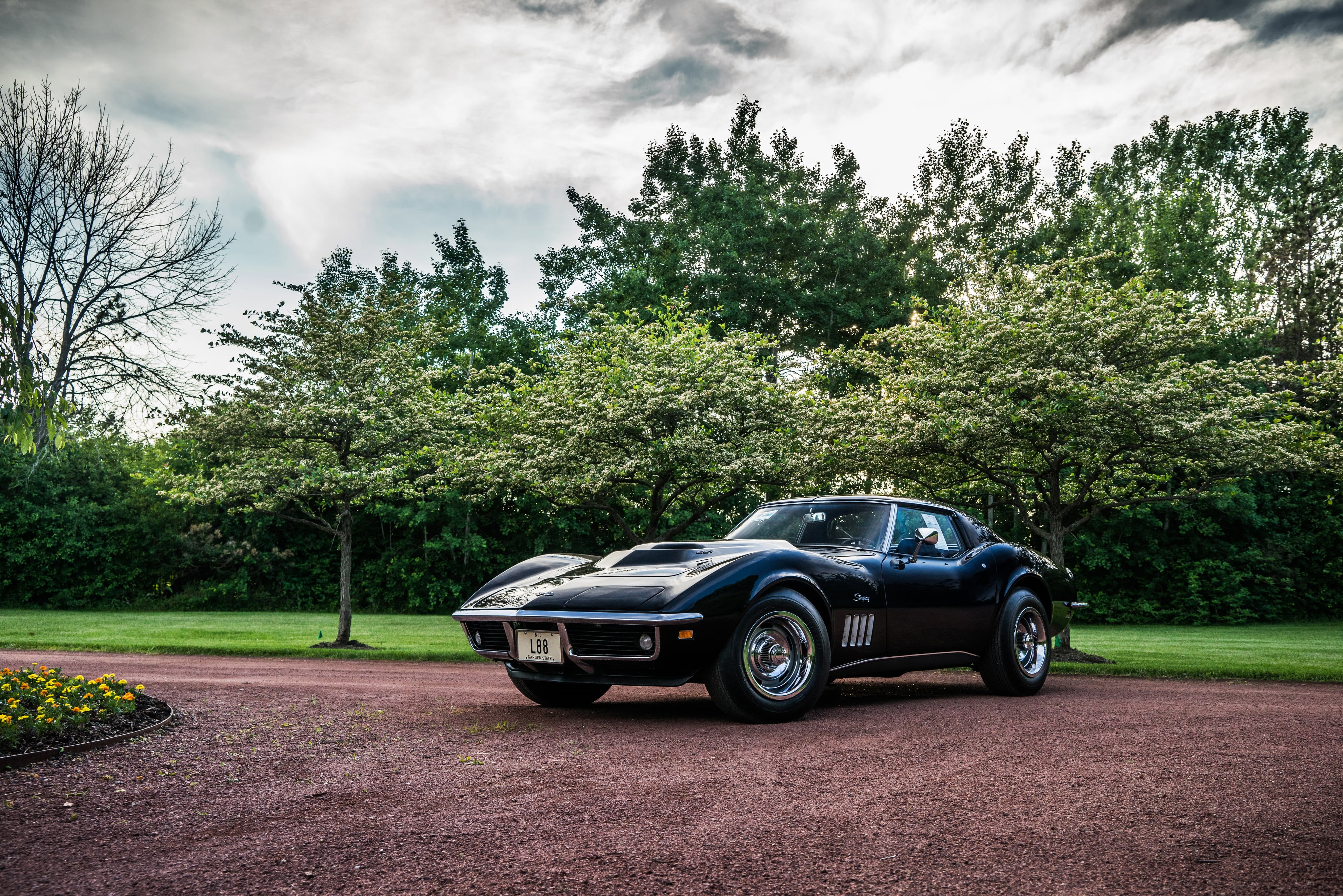 land, 1969, stationary, Stingray, growth, tree, car, Corvette, retro styled, nature, no people, outdoors, c, sky, black, land vehicle, plant, travel, day, HD Wallpaper