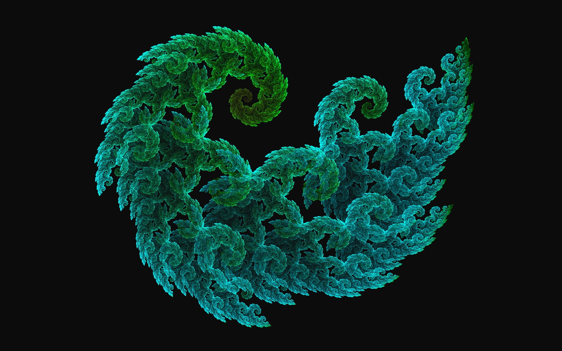 bacterium, fractal, plant, abstract, cut out, indoors, microbiology, healthcare and medicine, studio shot, 1080P, science, magnification, biology, three dimensional, HD Wallpaper