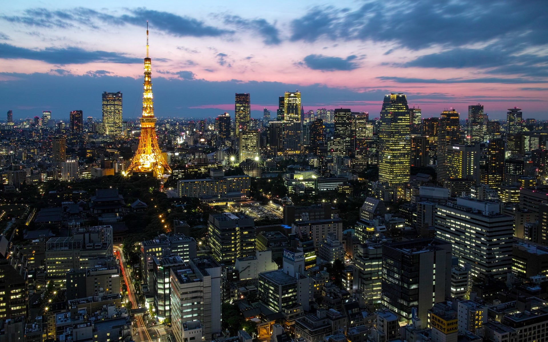 Japan, Tower, Dusk, City, 1080P, Houses, Skyscrapers, capital, Tokyo, Lights, HD Wallpaper