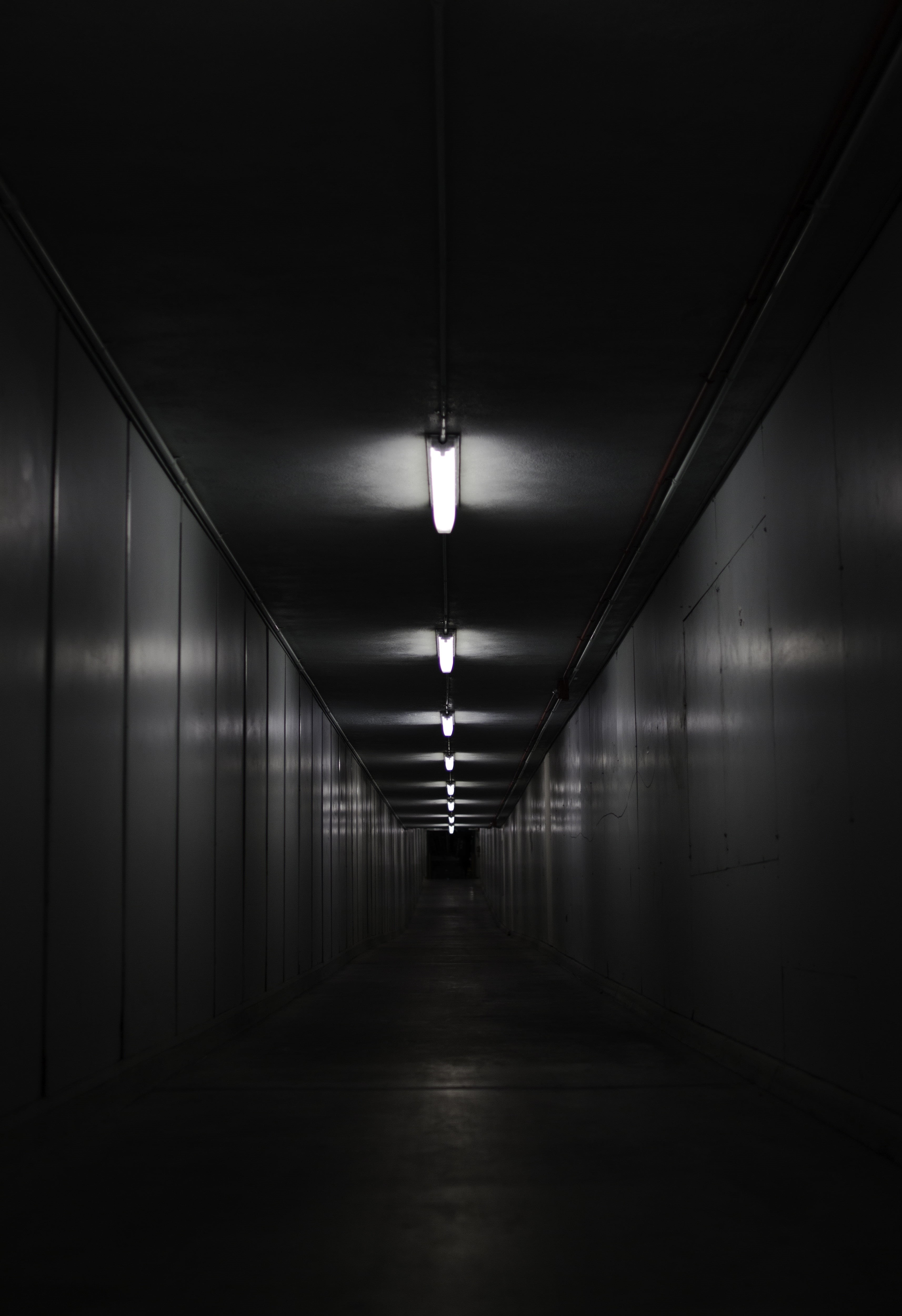 light at the end of the tunnel, gray, illuminated, light, lighting equipment, lighting, tunnel, indoors, architecture, absence, hallway, underpass, fluorescent light, Phone HD Wallpaper