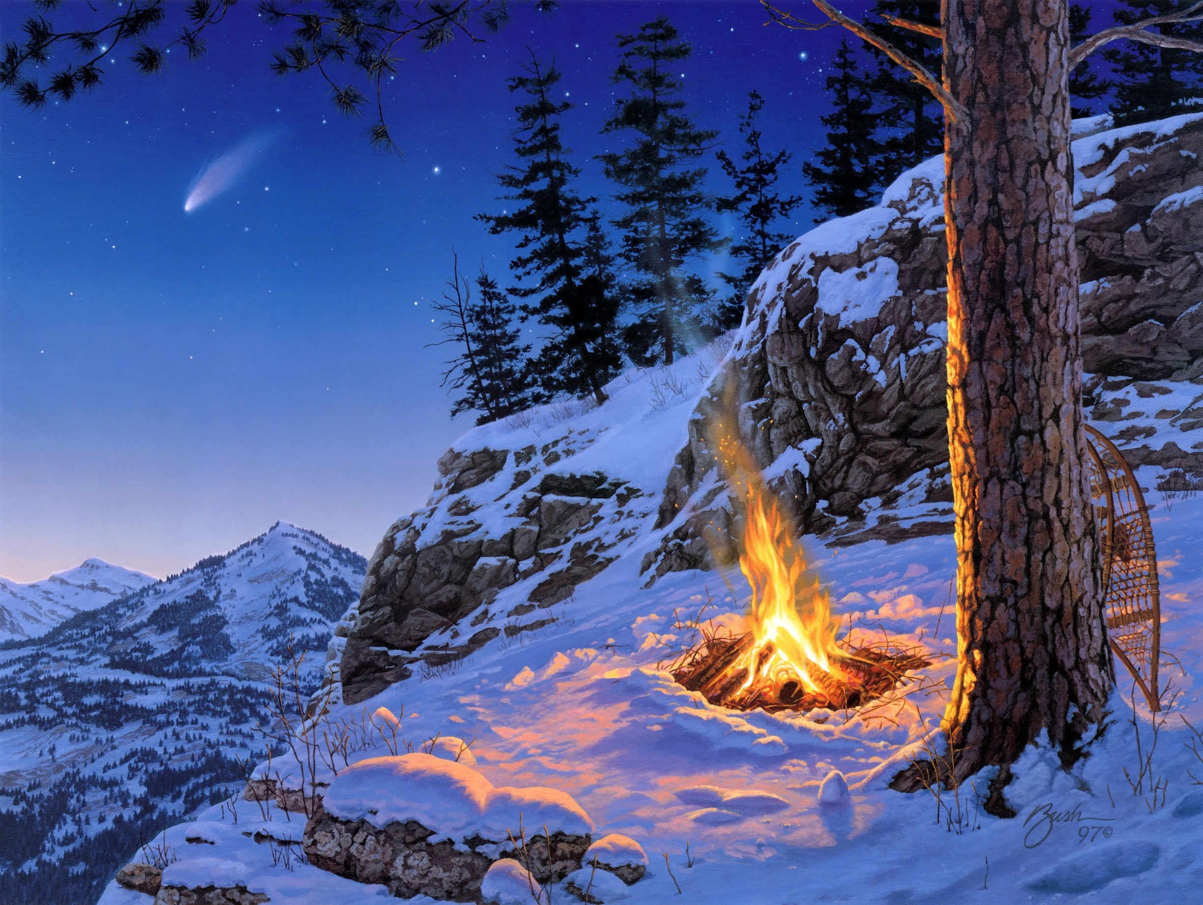 pine tree, late in the evening, tree, bonfire, trunk, spruce, outdoors, Once in a Lifetime, woodland, fire, scenics, light - Natural Phenomenon, cold temperature, HD Wallpaper
