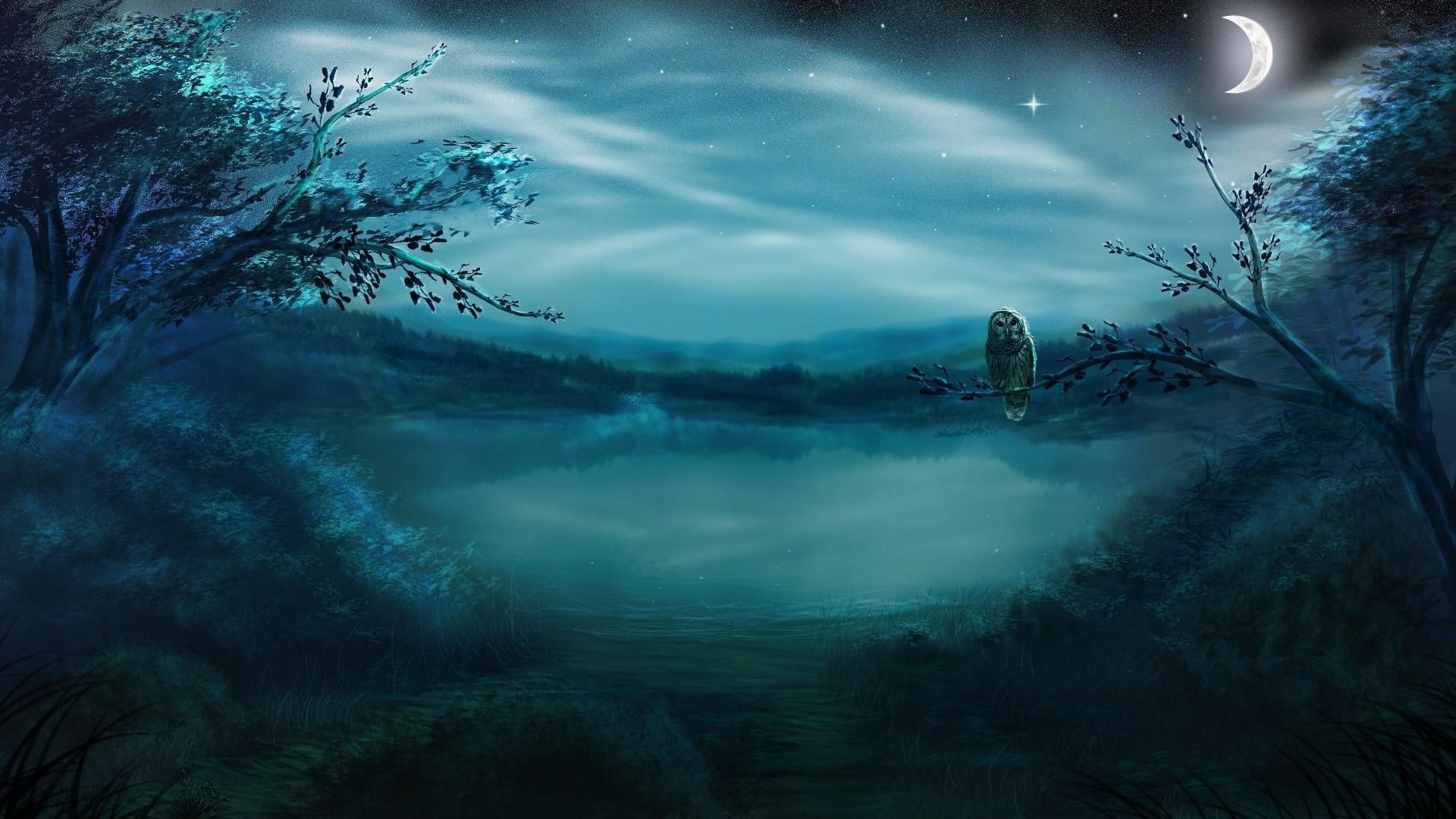 1080P, fantasy, owl, lake, starry night, reflection, starry, reflected, night sky, moon, stars, night, HD Wallpaper