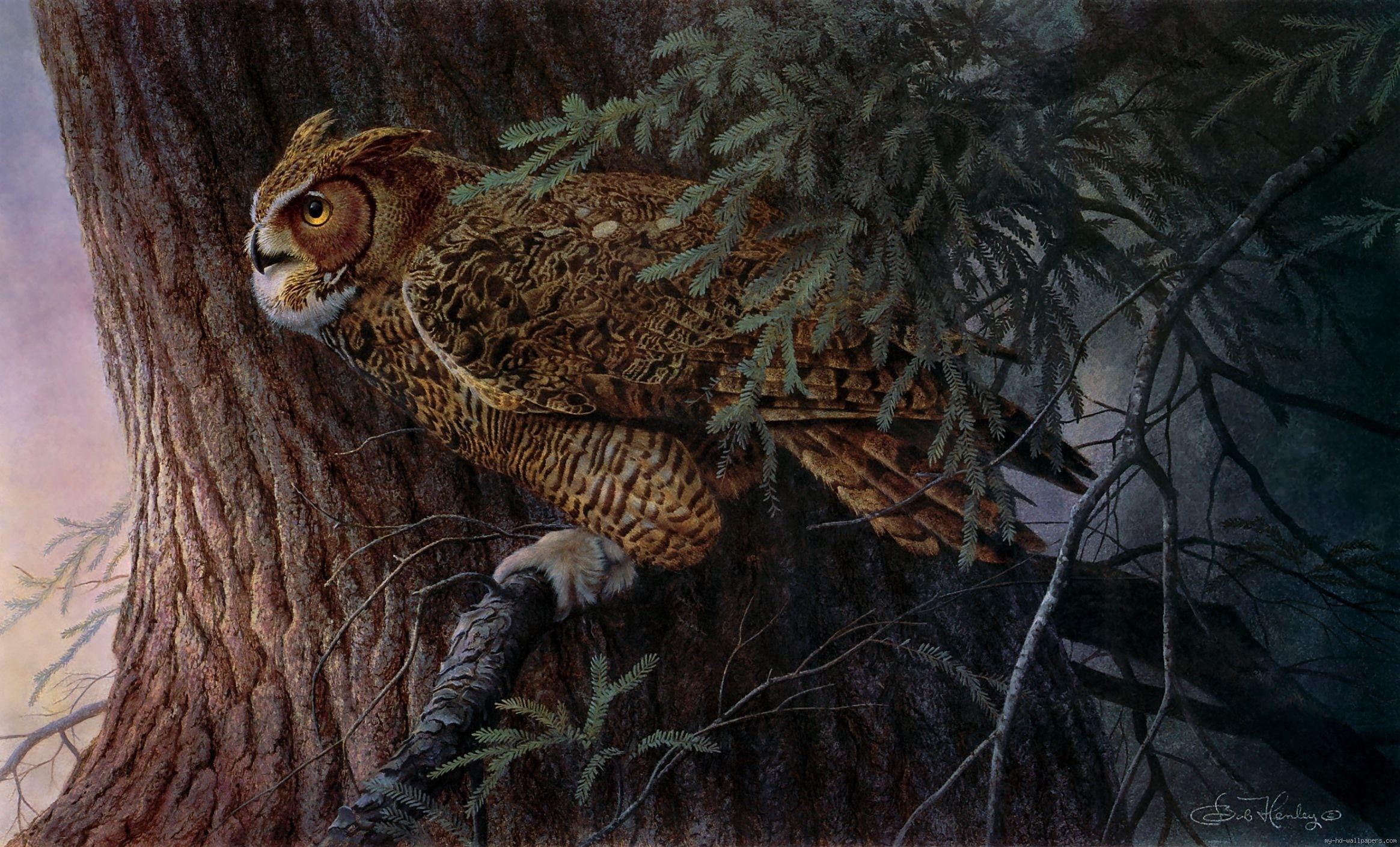 bird, owl, night, feathered, 1080P, black, tree, animal, brown, HD Wallpaper