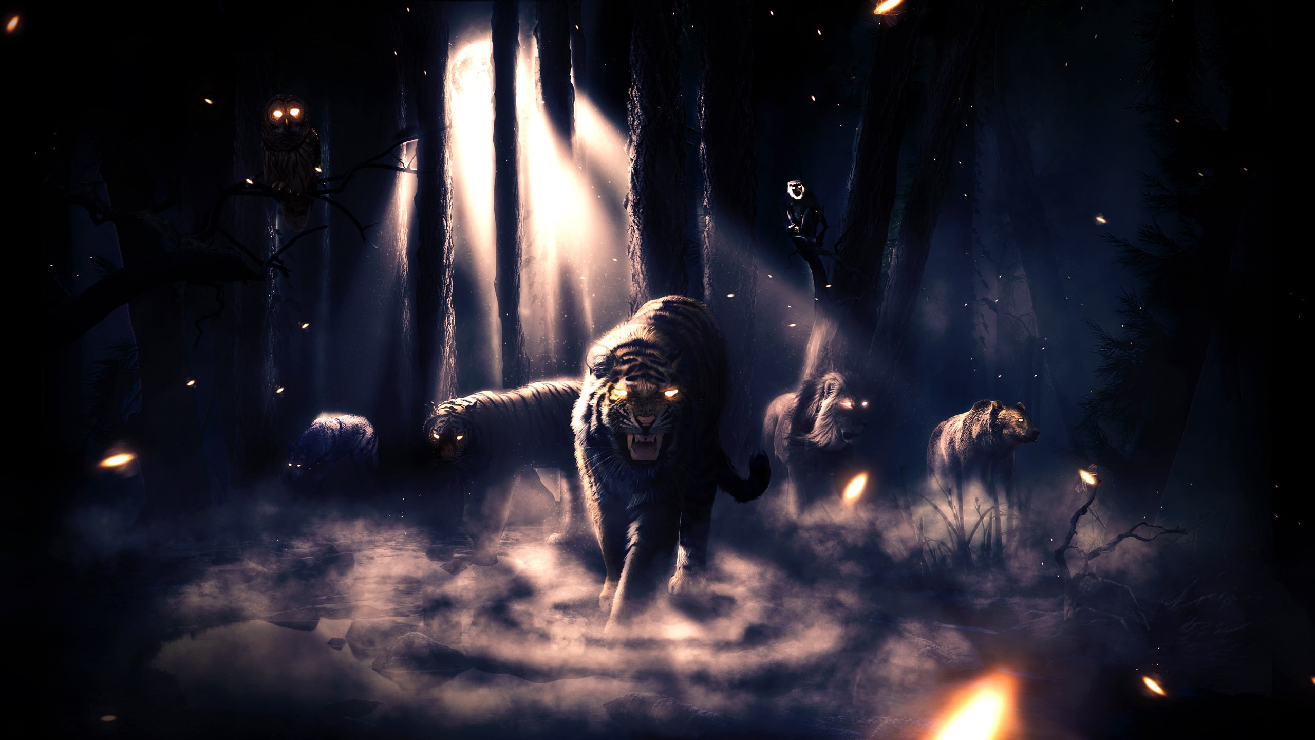 2K, animals, night, forest, desktop, Leo, fog, wolf, monkey, owl, bear, tiger, HD Wallpaper