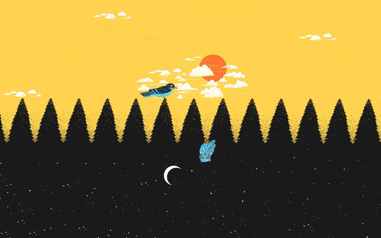 digital/artwork, hd, black, owl, abstract, yellow, bird, day, night, 720P, HD Wallpaper