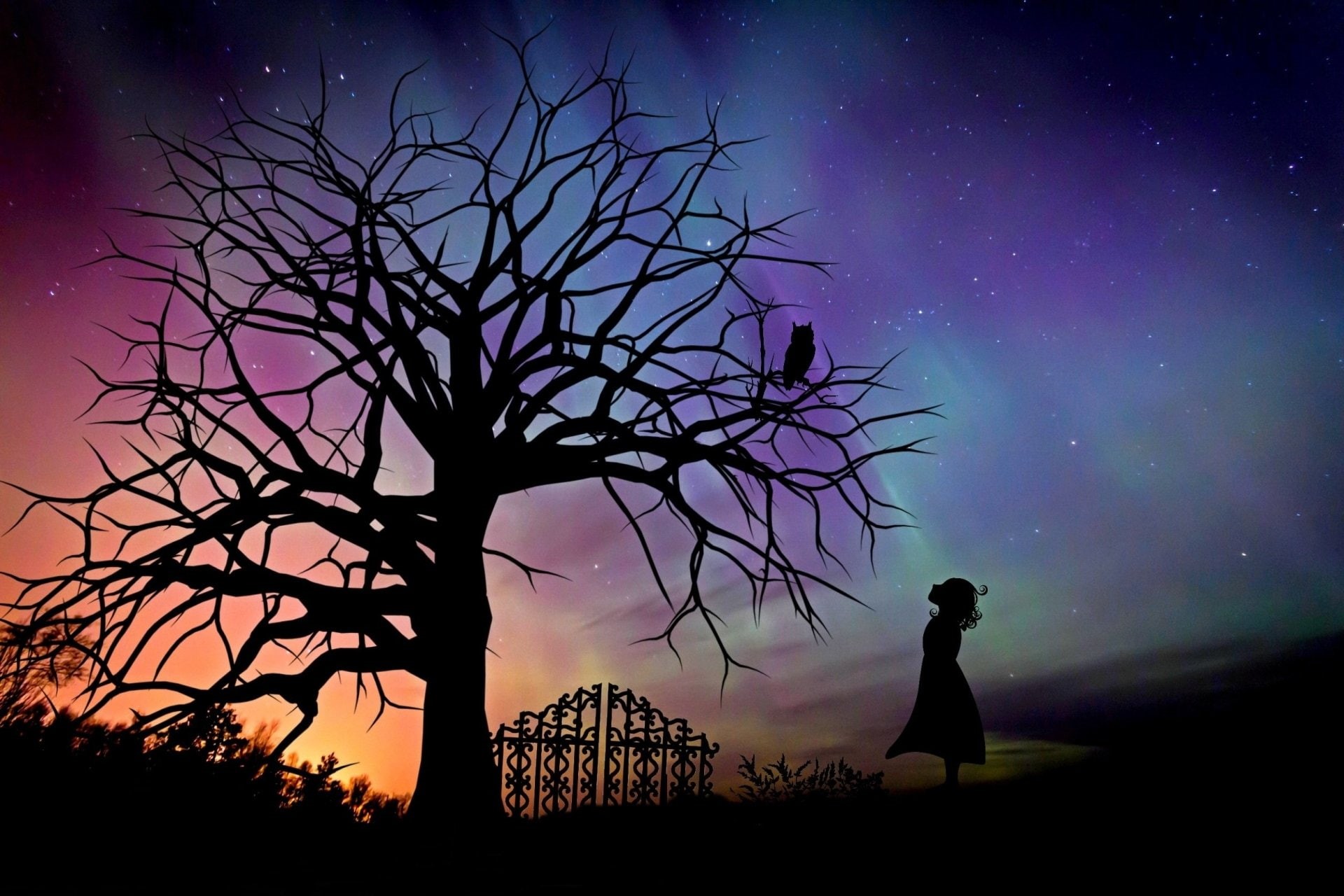 sky, Little Girl, Silhouette, beauty in nature, Owl, looking at view, scenics - nature, Girl, standing, nature, tranquil scene, leisure activity, plant, HD Wallpaper