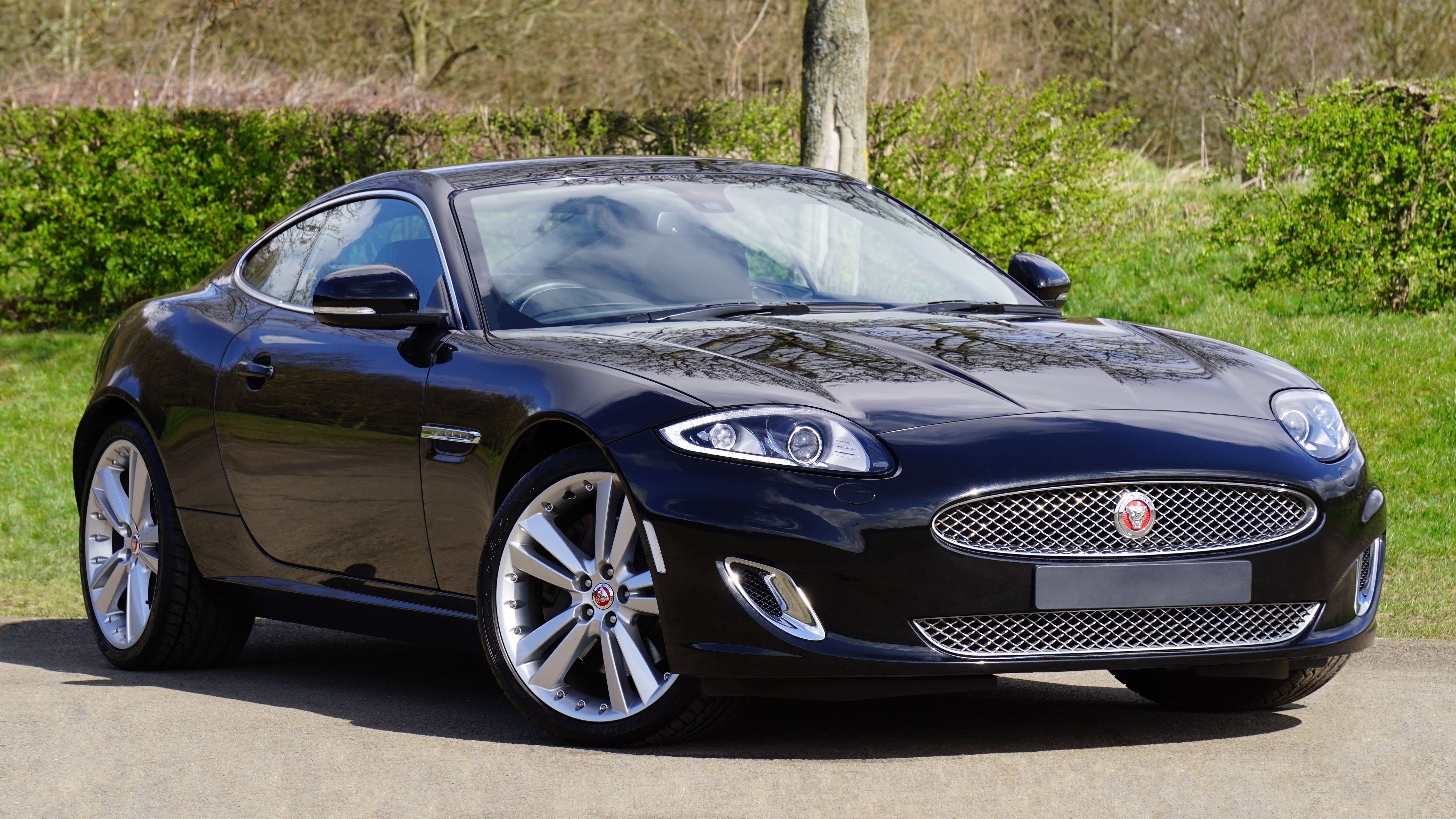 grass, jaguar, no people, retro styled, automobile, headlight, metal, car, black, xkr, fast, nature, pole, jaguar xk, plant, auto, stationary, outdoors, HD Wallpaper